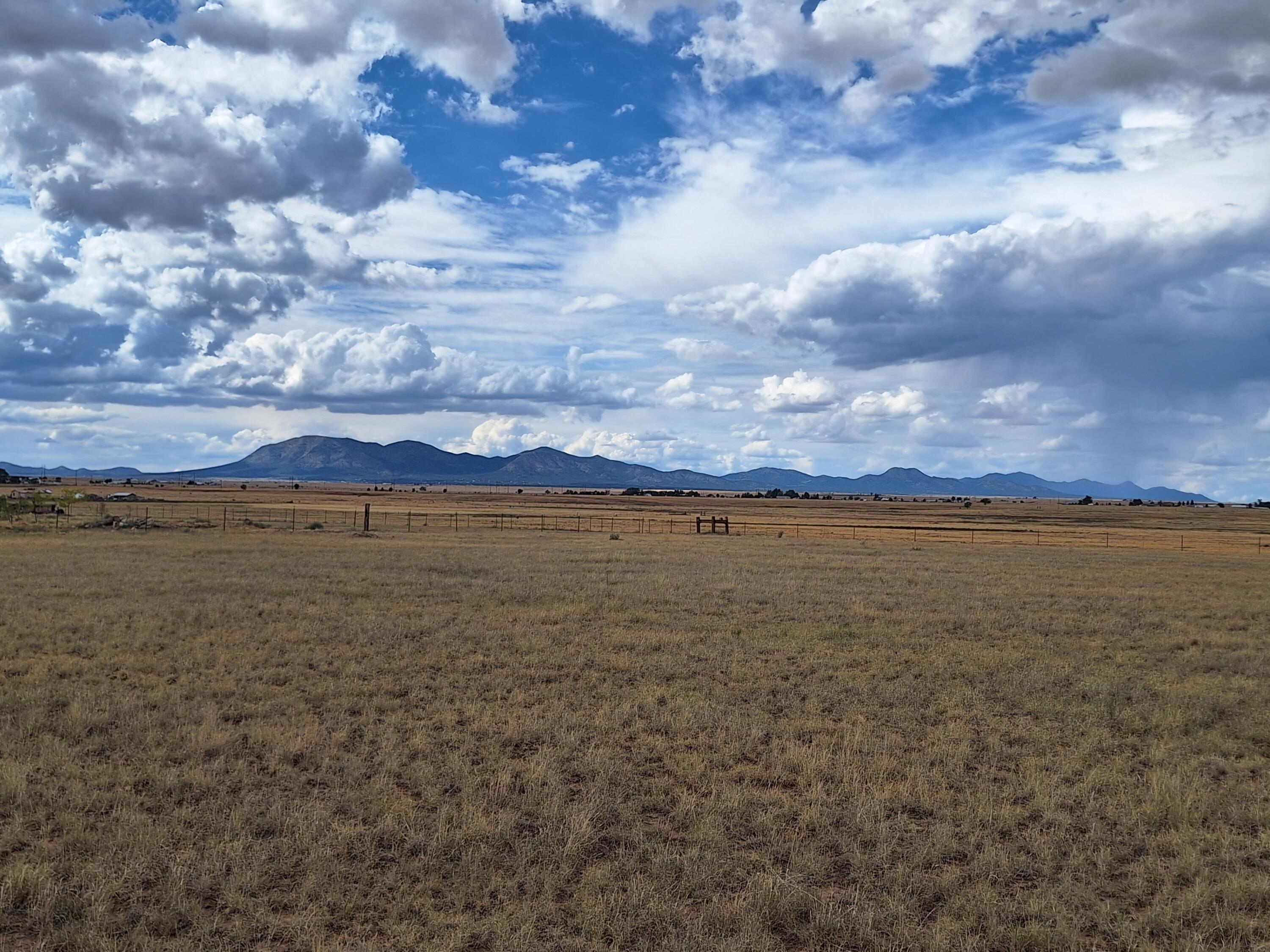 Tomasini Court, Moriarty, New Mexico image 12