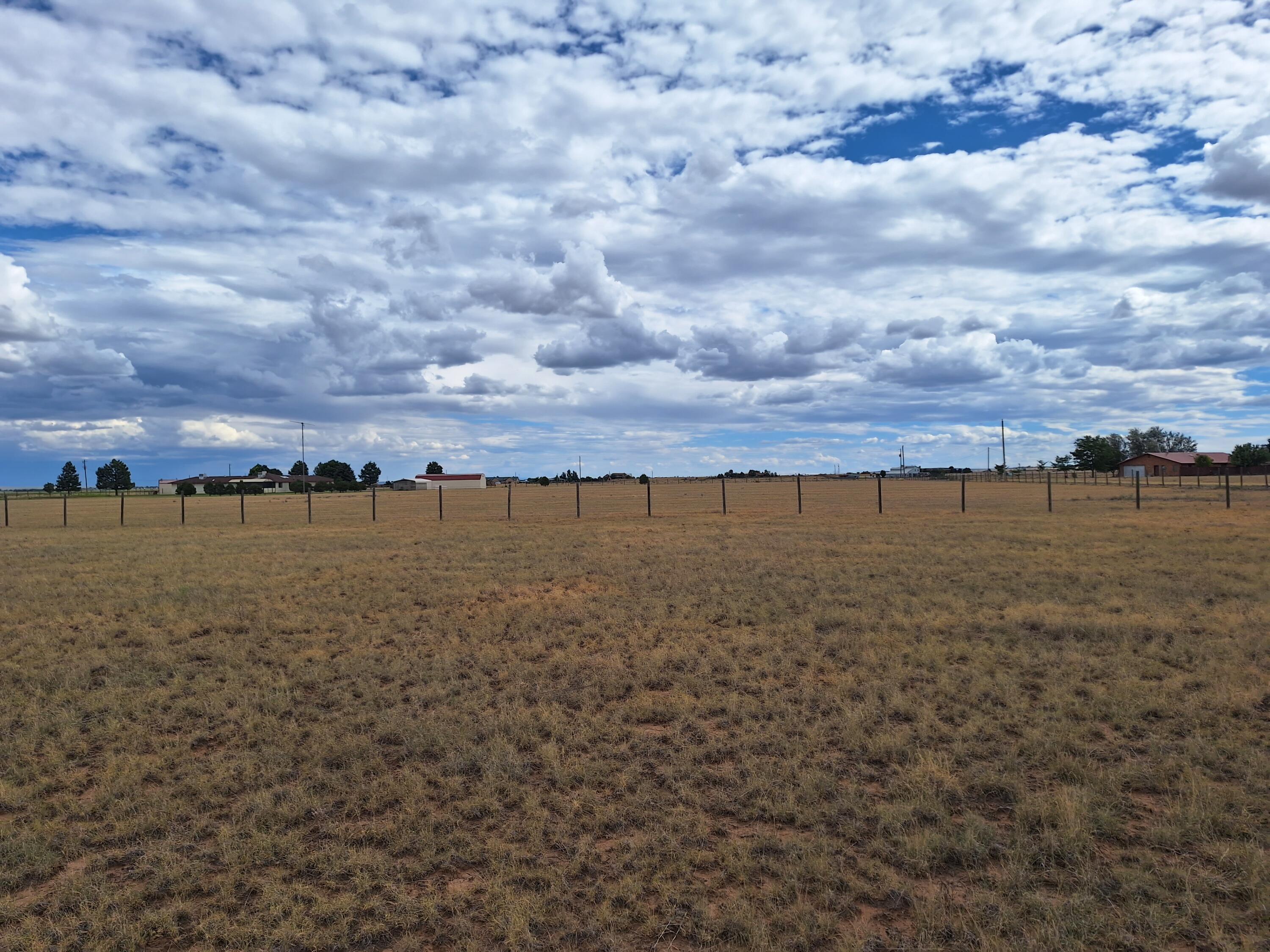 Tomasini Court, Moriarty, New Mexico image 6