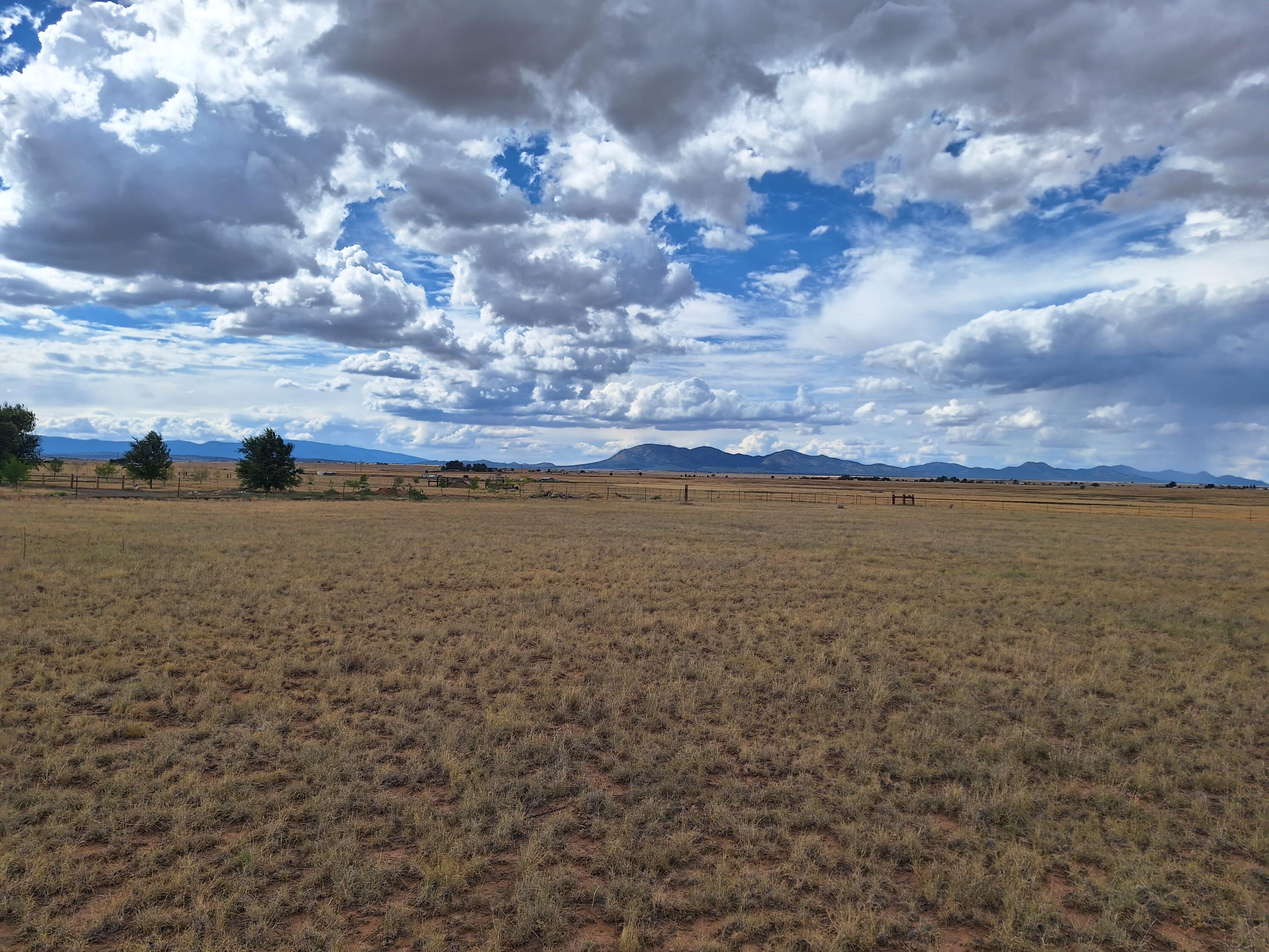 Tomasini Court, Moriarty, New Mexico image 7