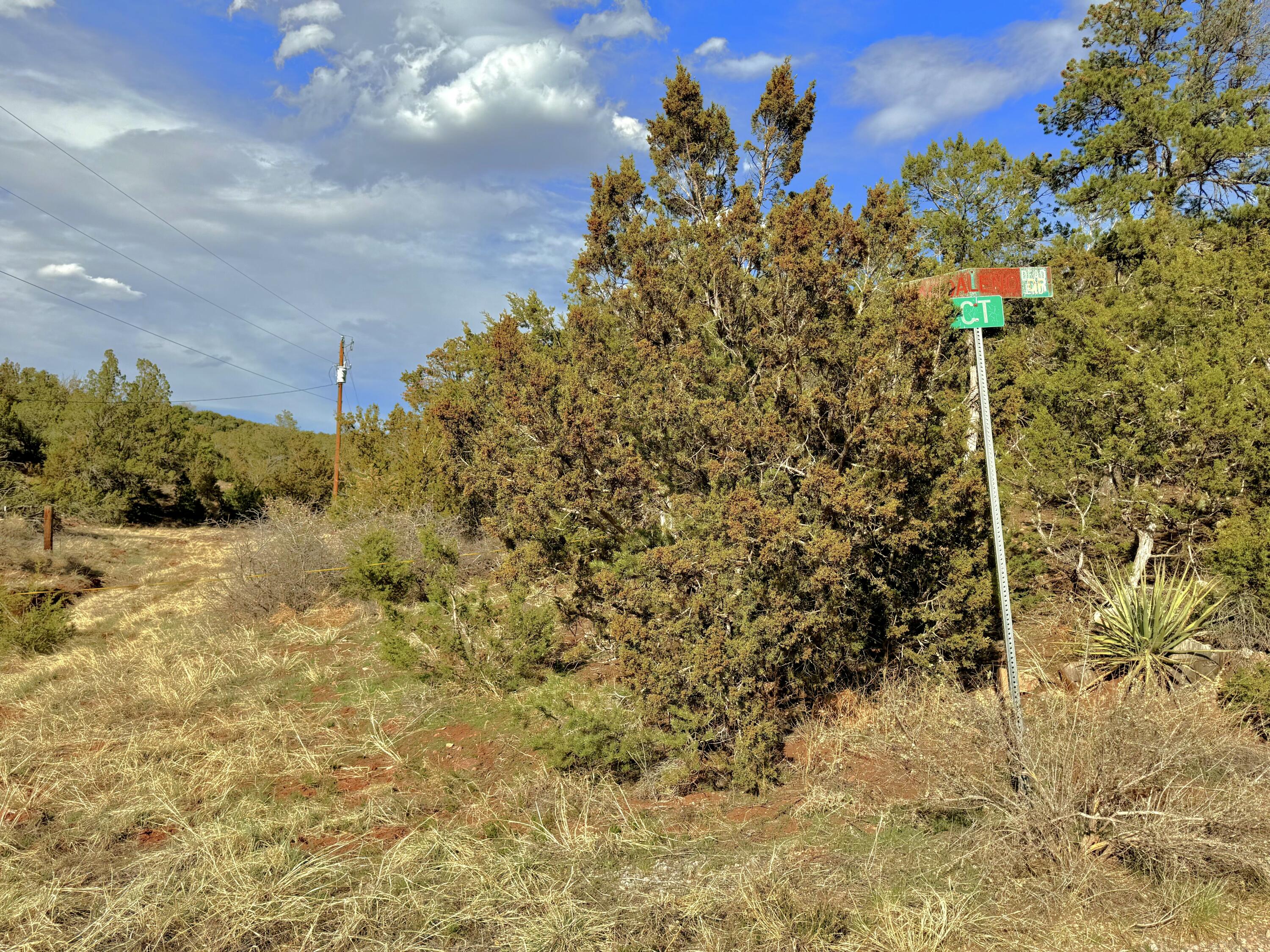 84 Valle Escondido Rd, Sandia Park, New Mexico image 3