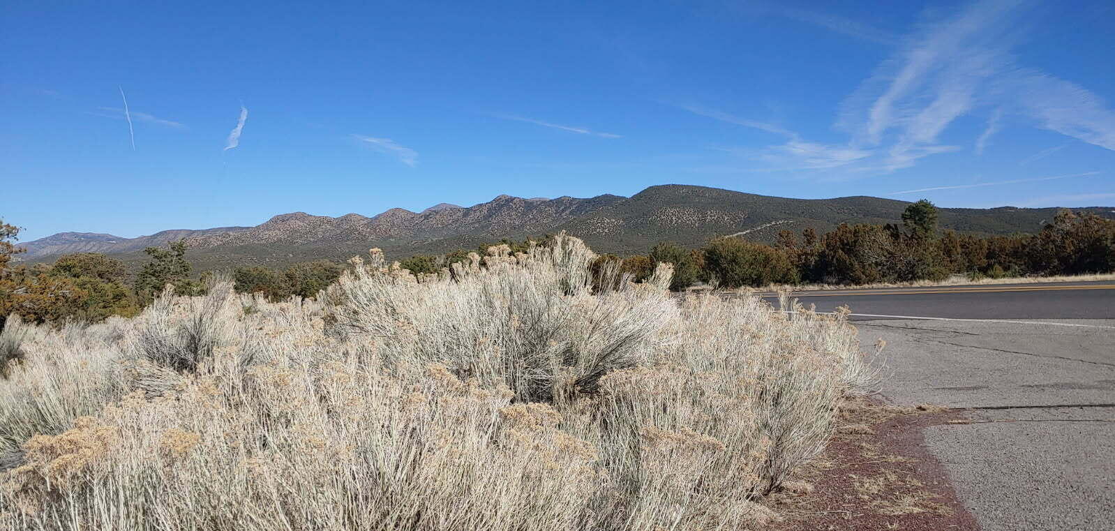 1 Nambe Court, Sandia Park, New Mexico image 5