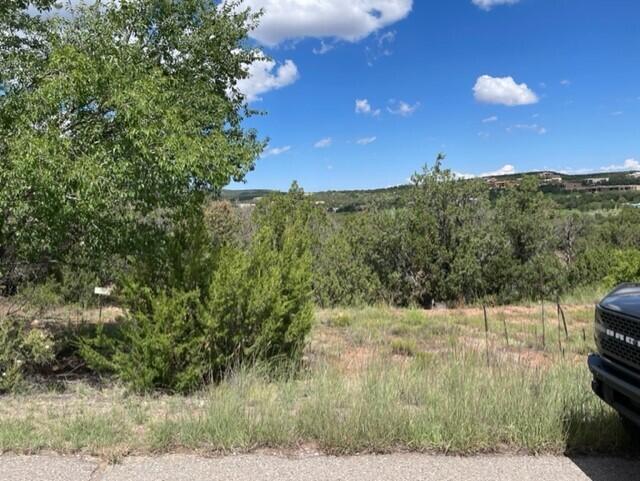 Paako Drive #415, Sandia Park, New Mexico image 3