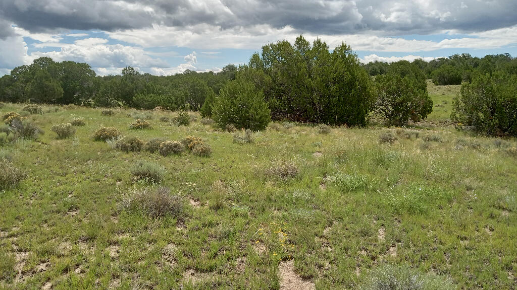 Lt 5 6 7 Patton Road, Pie Town, New Mexico image 4