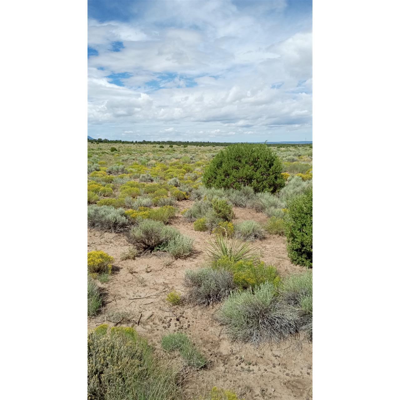 Lt 5 6 7 Patton Road, Pie Town, New Mexico image 10