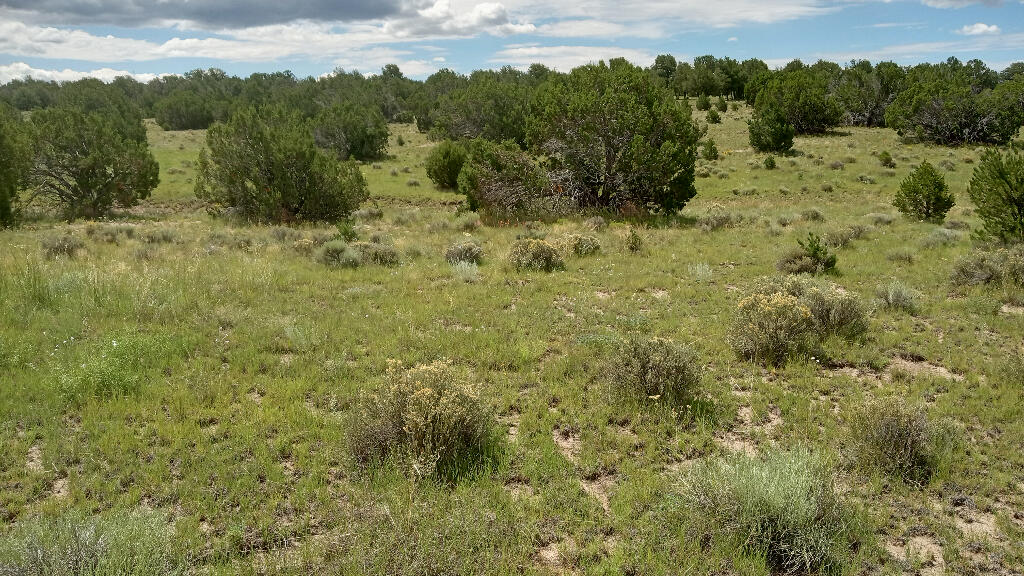 Lt 5 6 7 Patton Road, Pie Town, New Mexico image 3