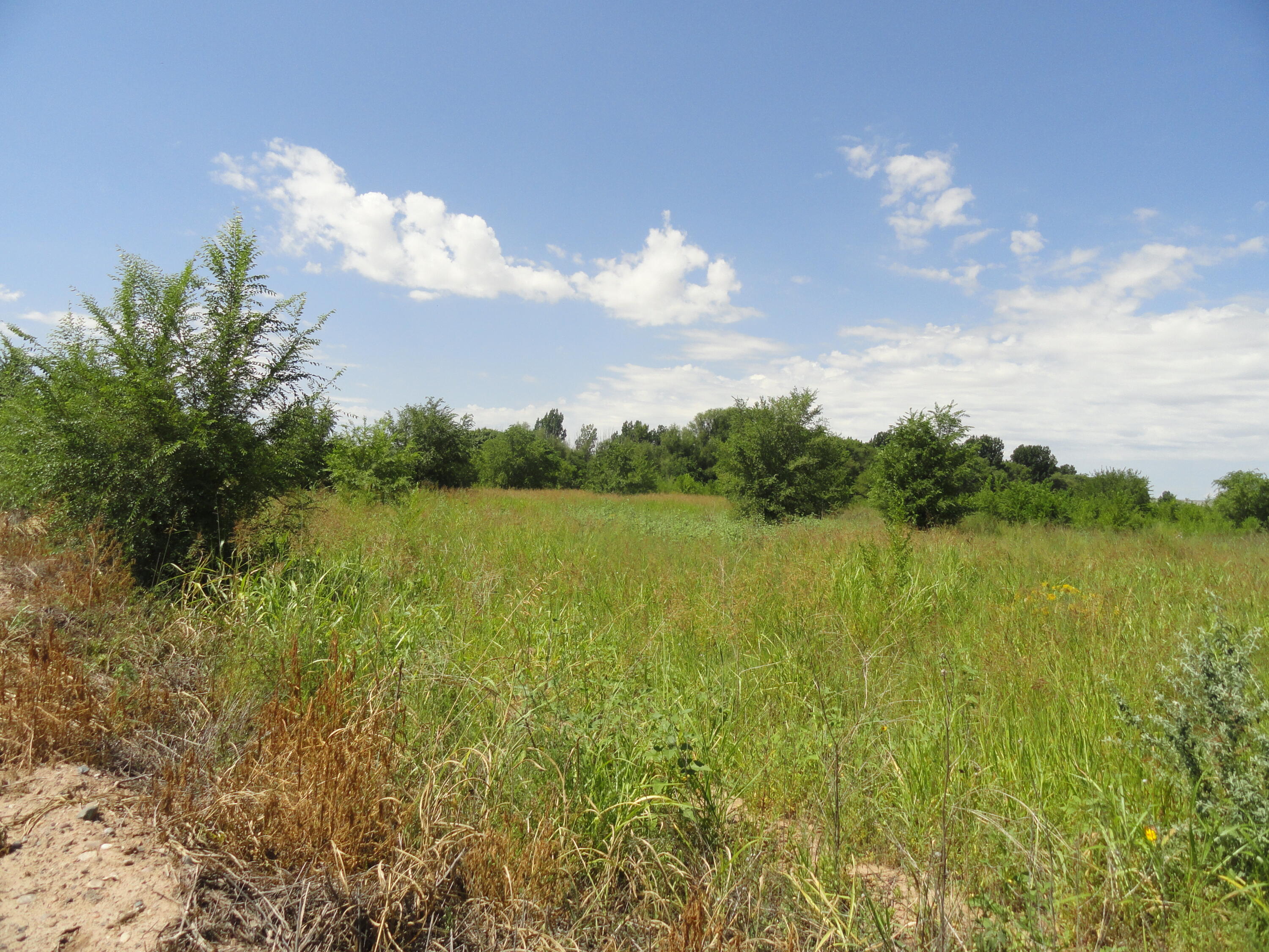 Lot 1c Private Drive, Los Lunas, New Mexico image 3