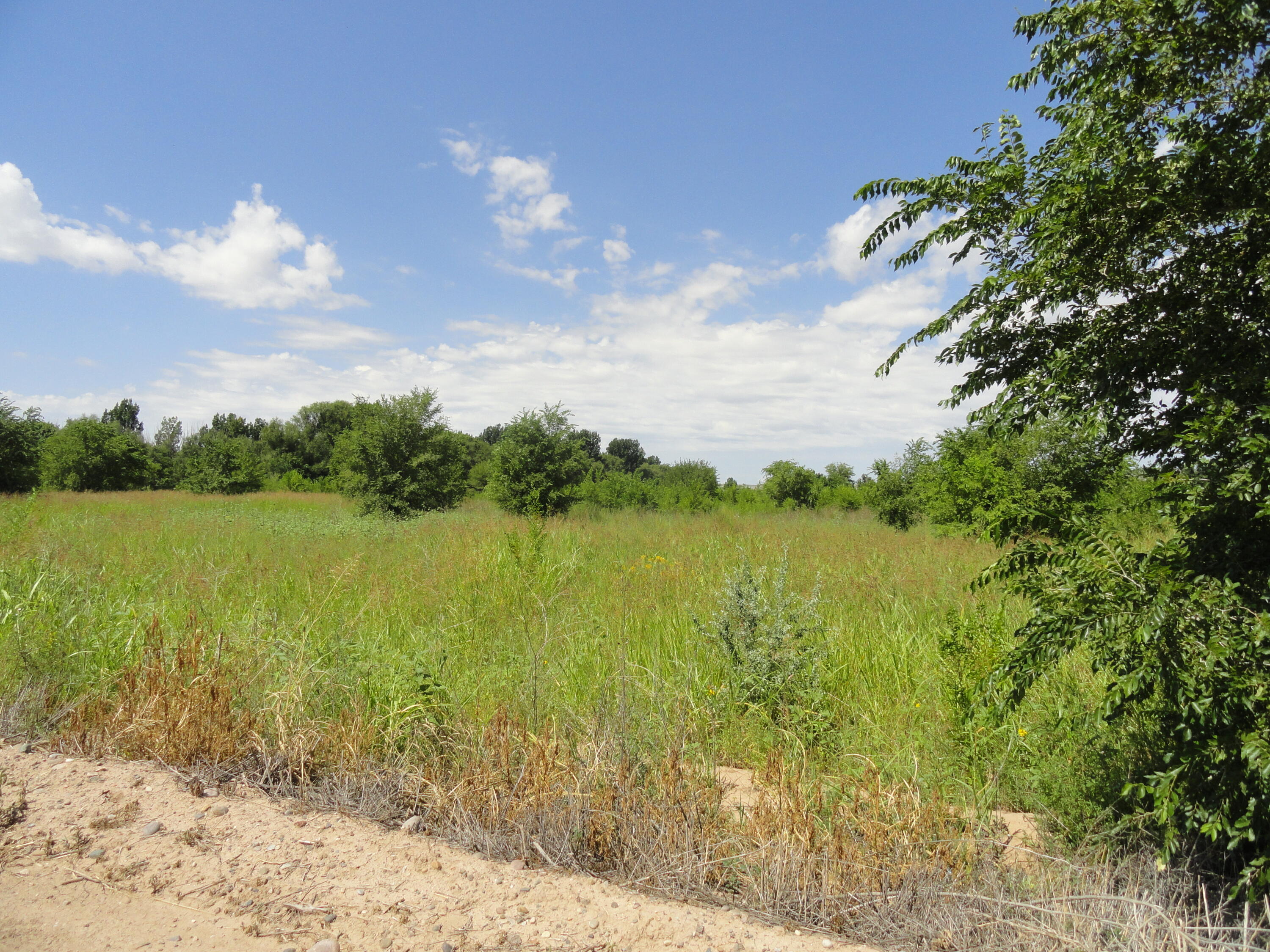 Lot 1c Private Drive, Los Lunas, New Mexico image 1