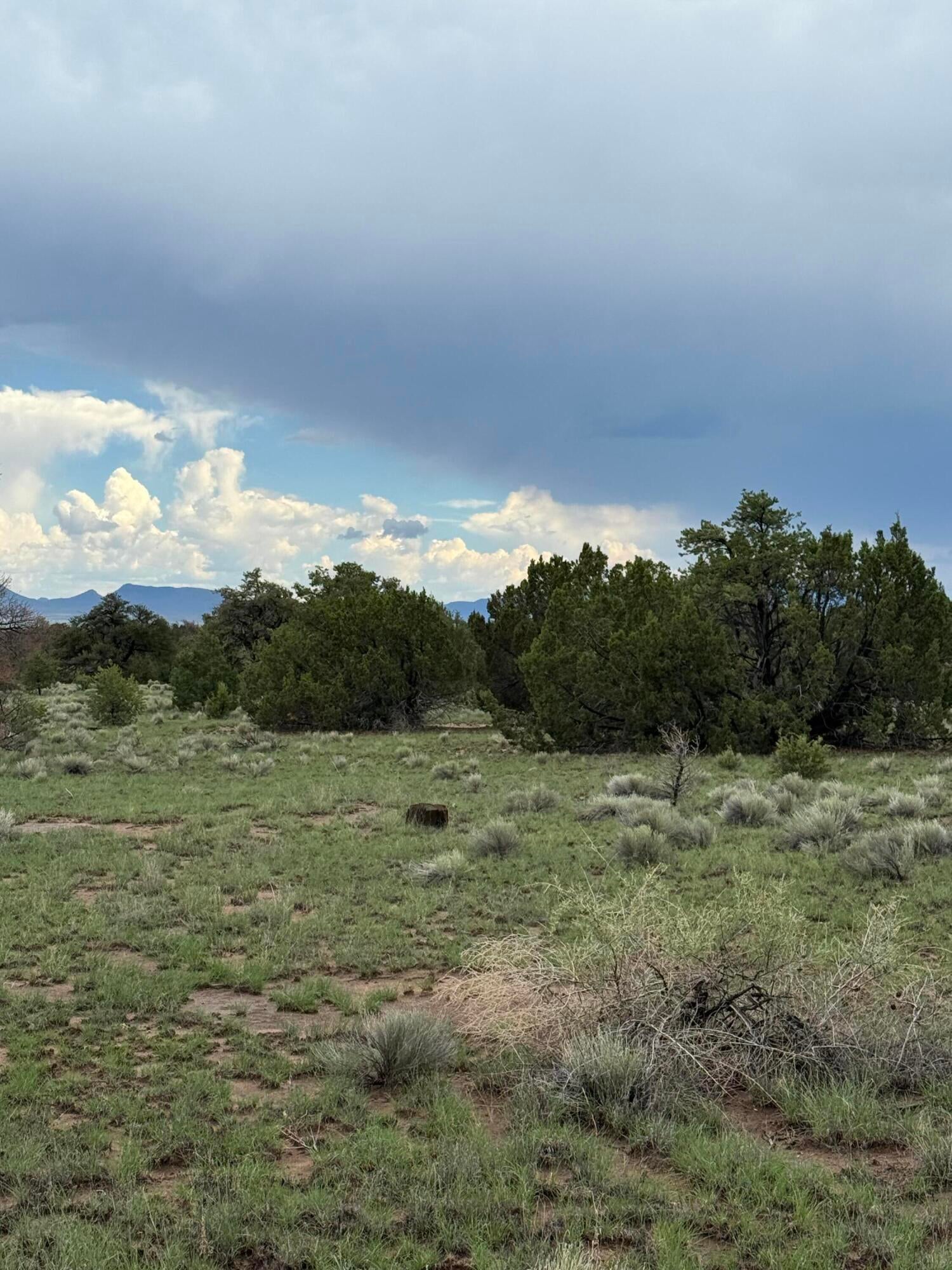 LOT 36 ARROW LN