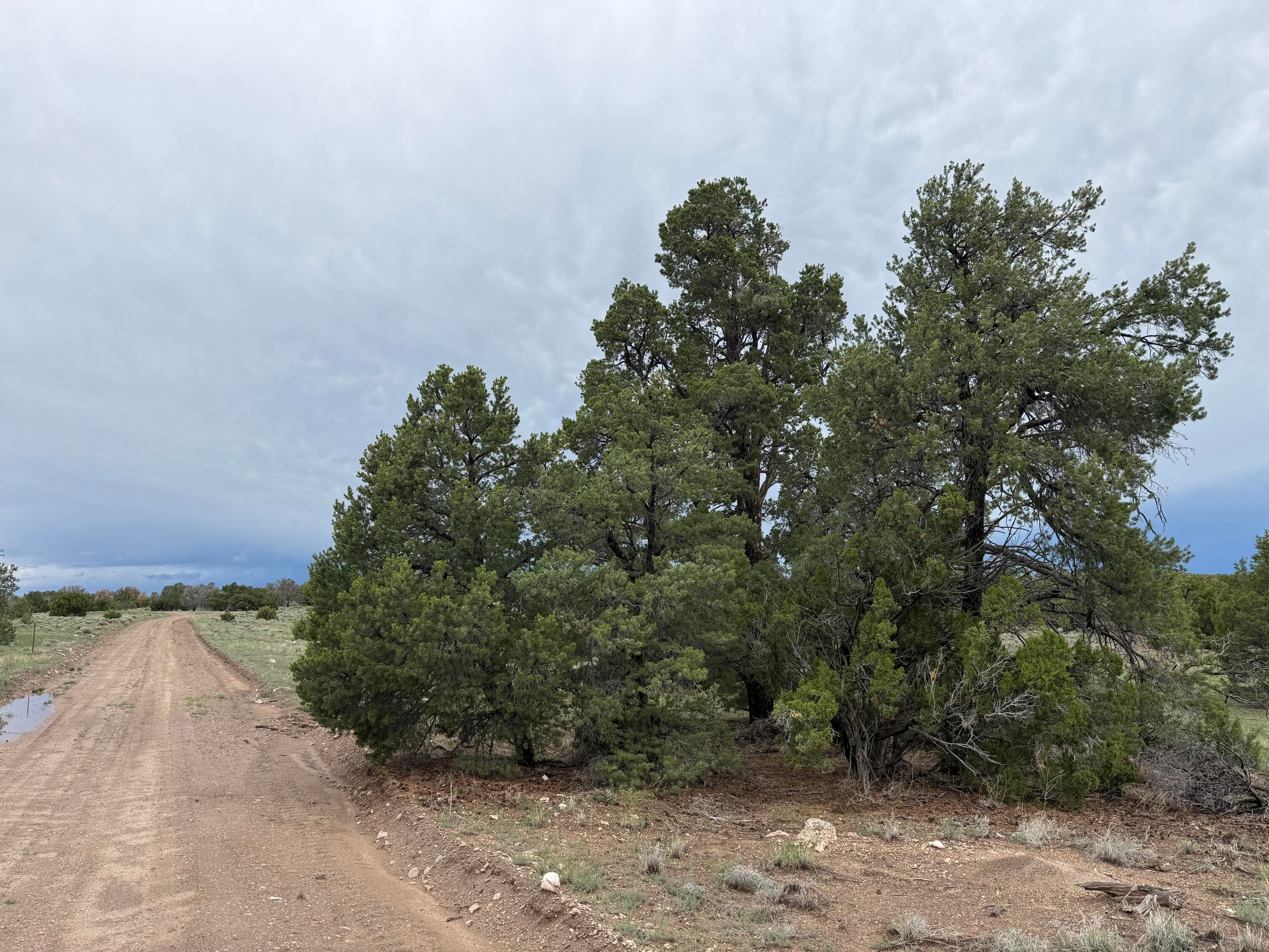 LOT 36 ARROW LN
