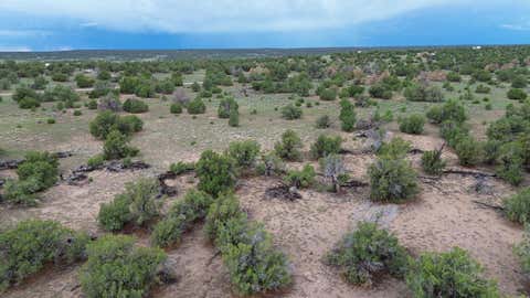 Photo of LOT 36 ARROW LN, Quemado, NM 87829 (MLS # 1108965)