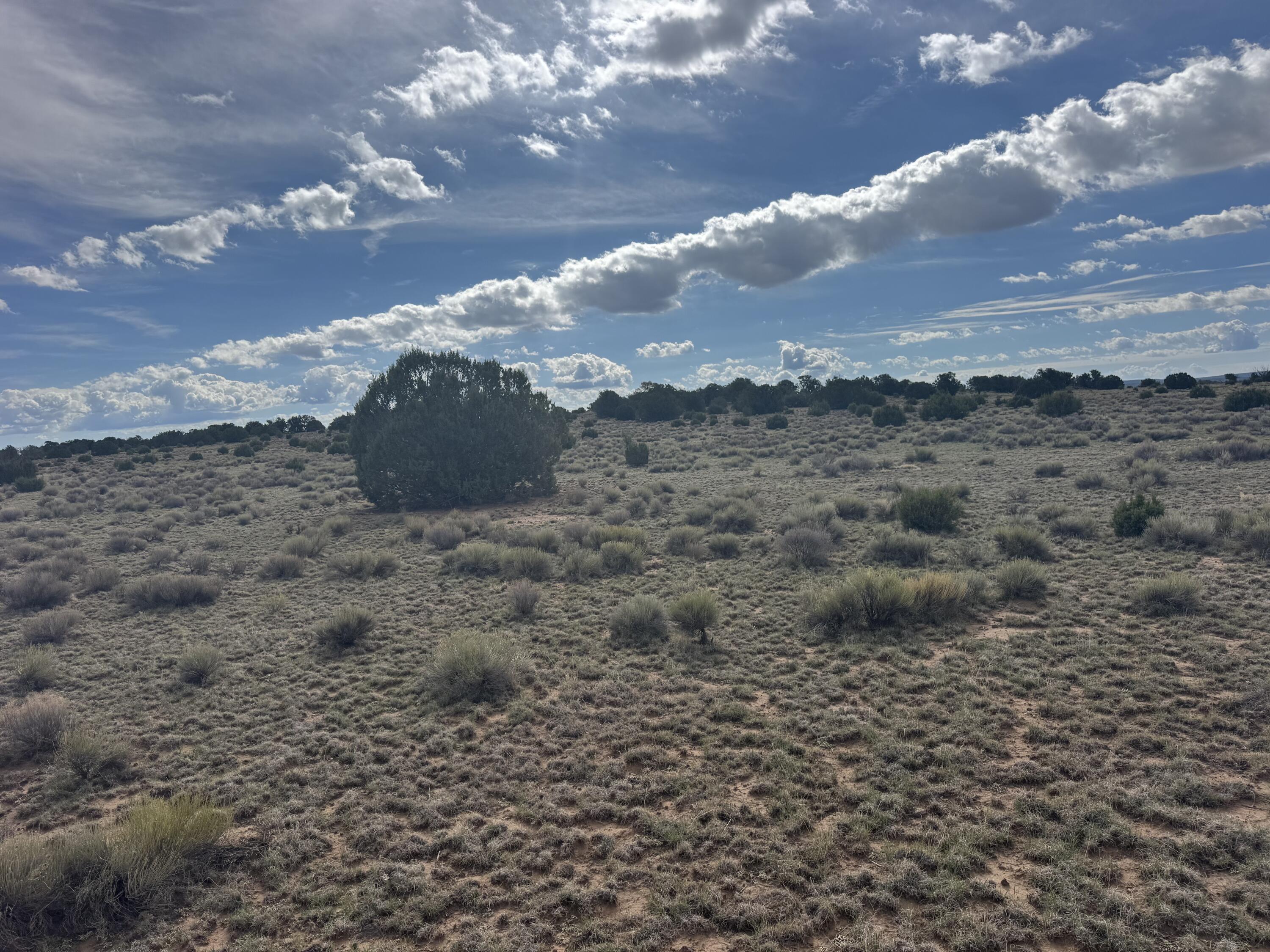 Lot 130 Jolly Time Lane