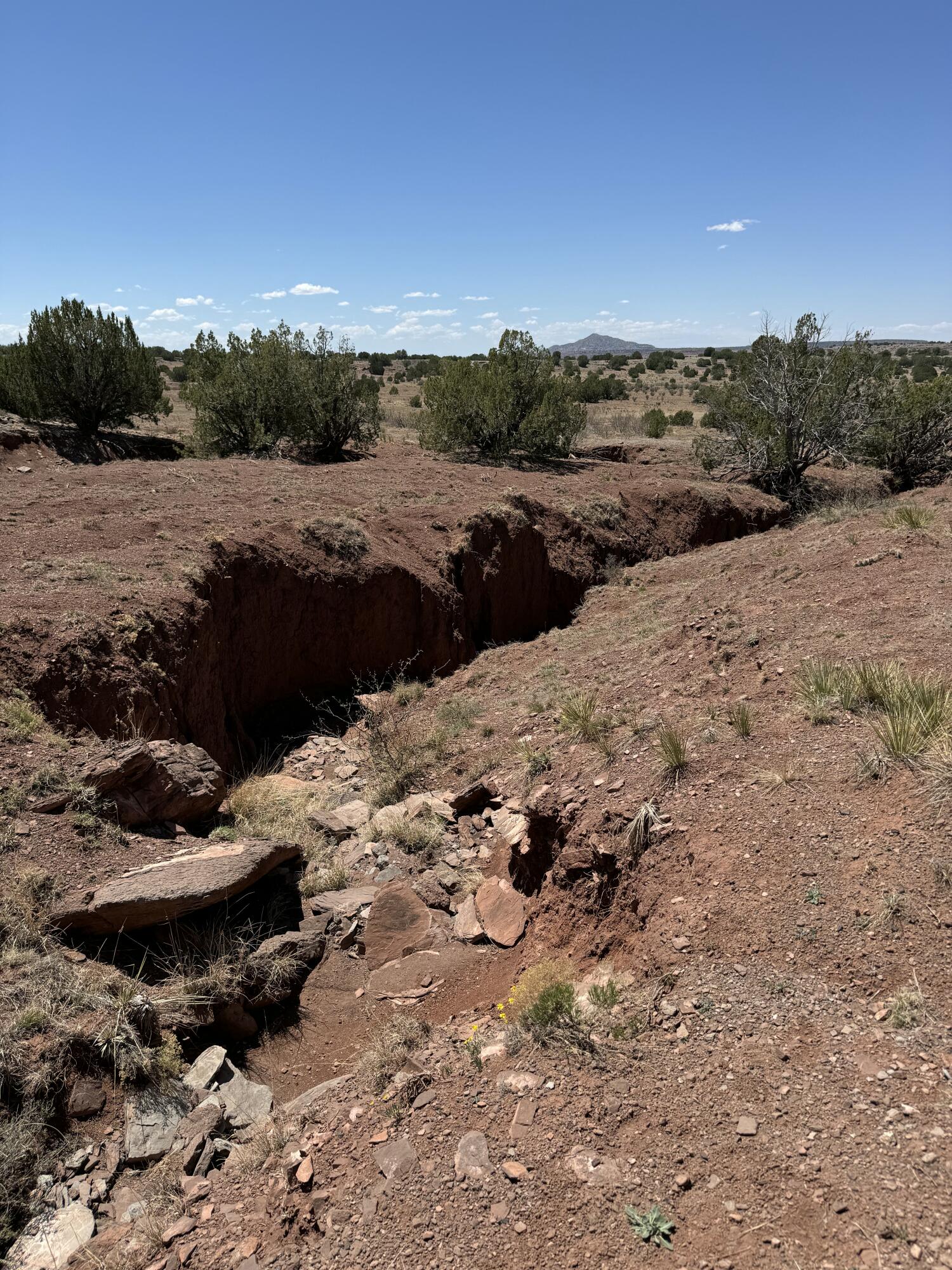 Sena Road, Santa Rosa, New Mexico image 12
