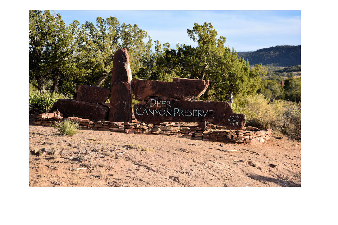 1864 Deer Canyon Trail, Mountainair, New Mexico image 1
