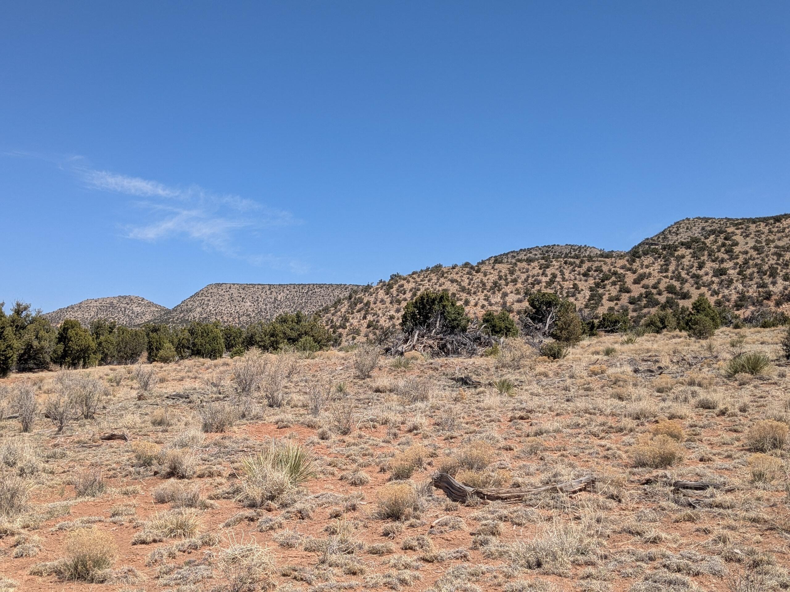 1864 Deer Canyon Trail, Mountainair, New Mexico image 8