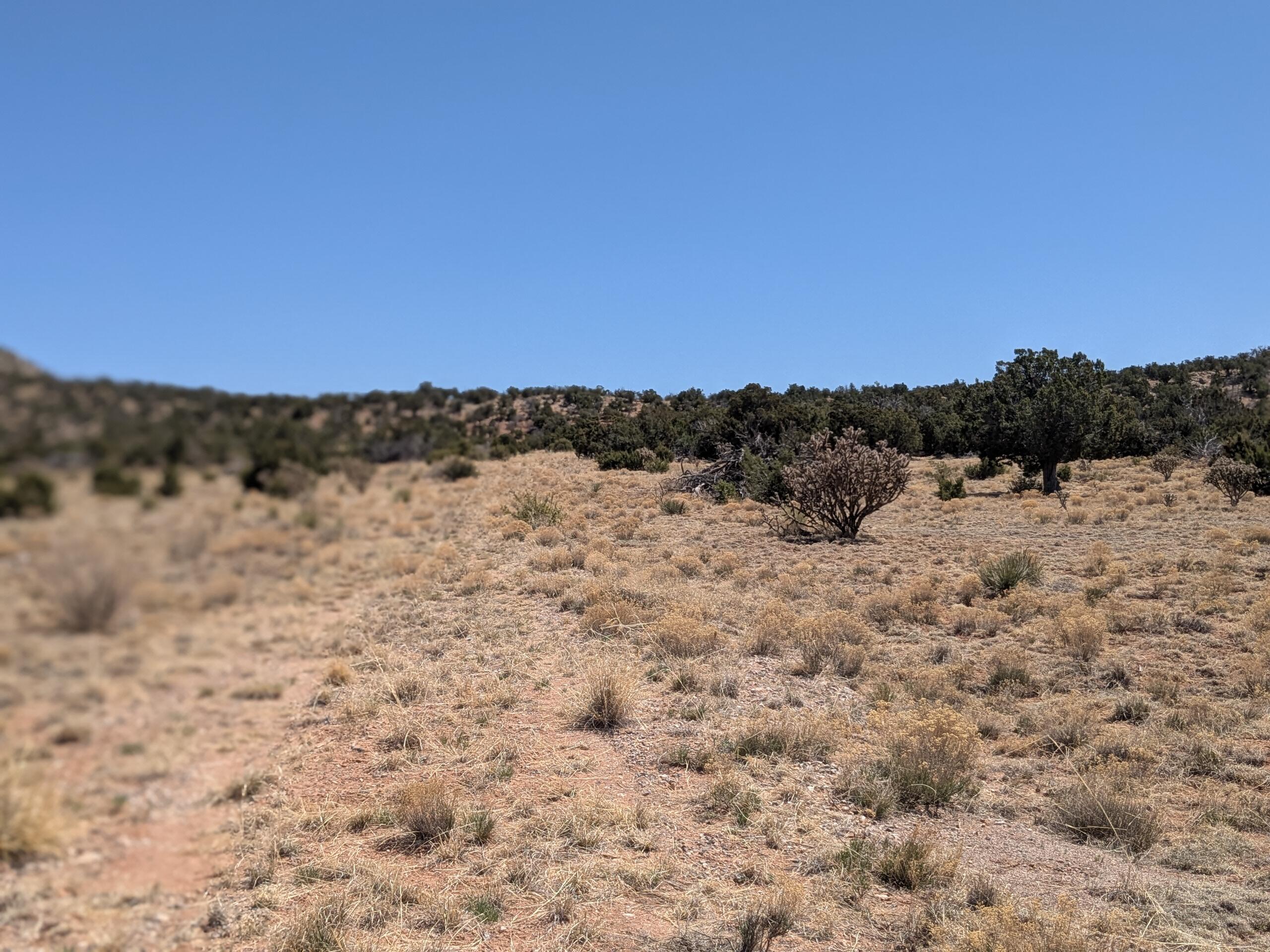 1864 Deer Canyon Trail, Mountainair, New Mexico image 9