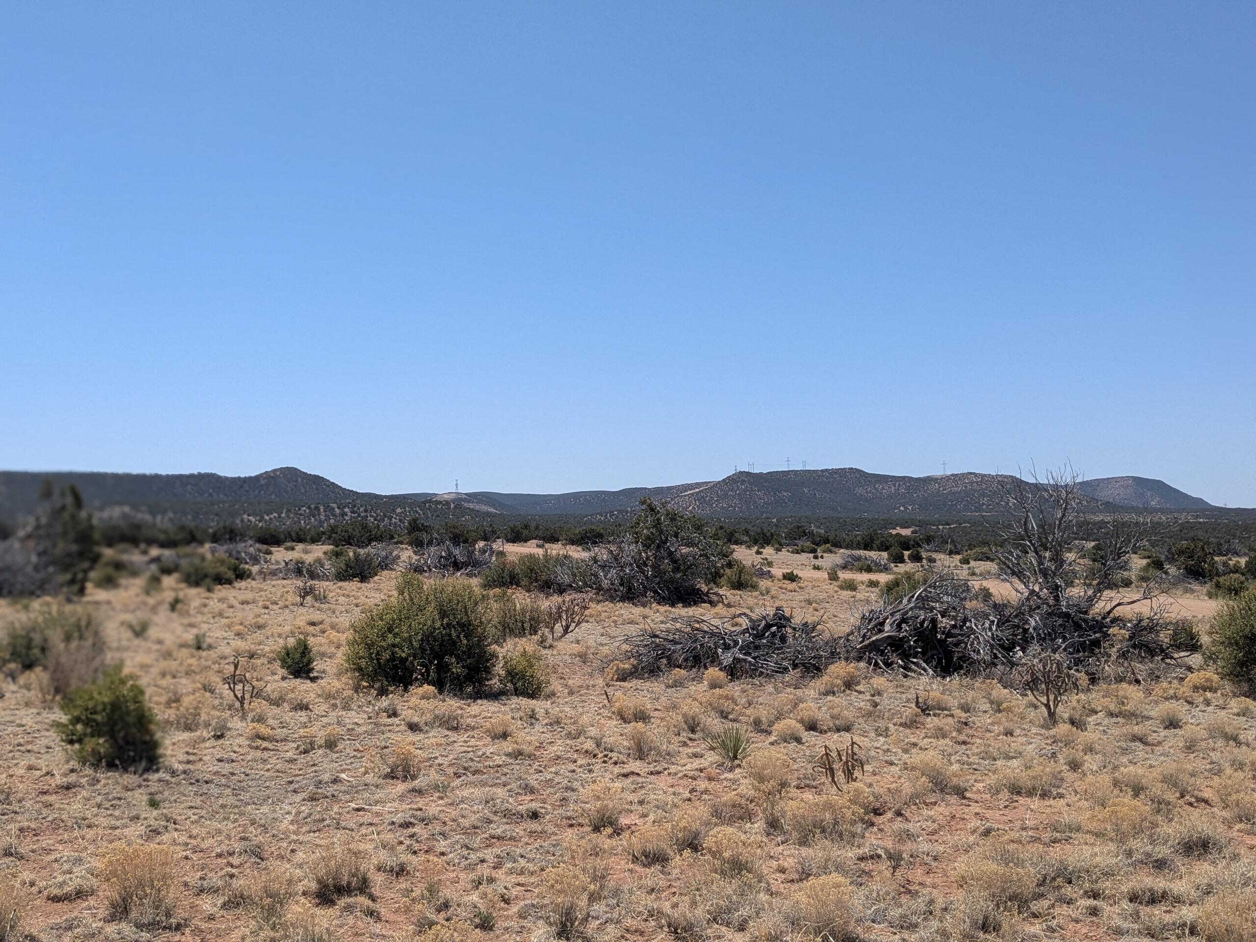1864 Deer Canyon Trail, Mountainair, New Mexico image 7