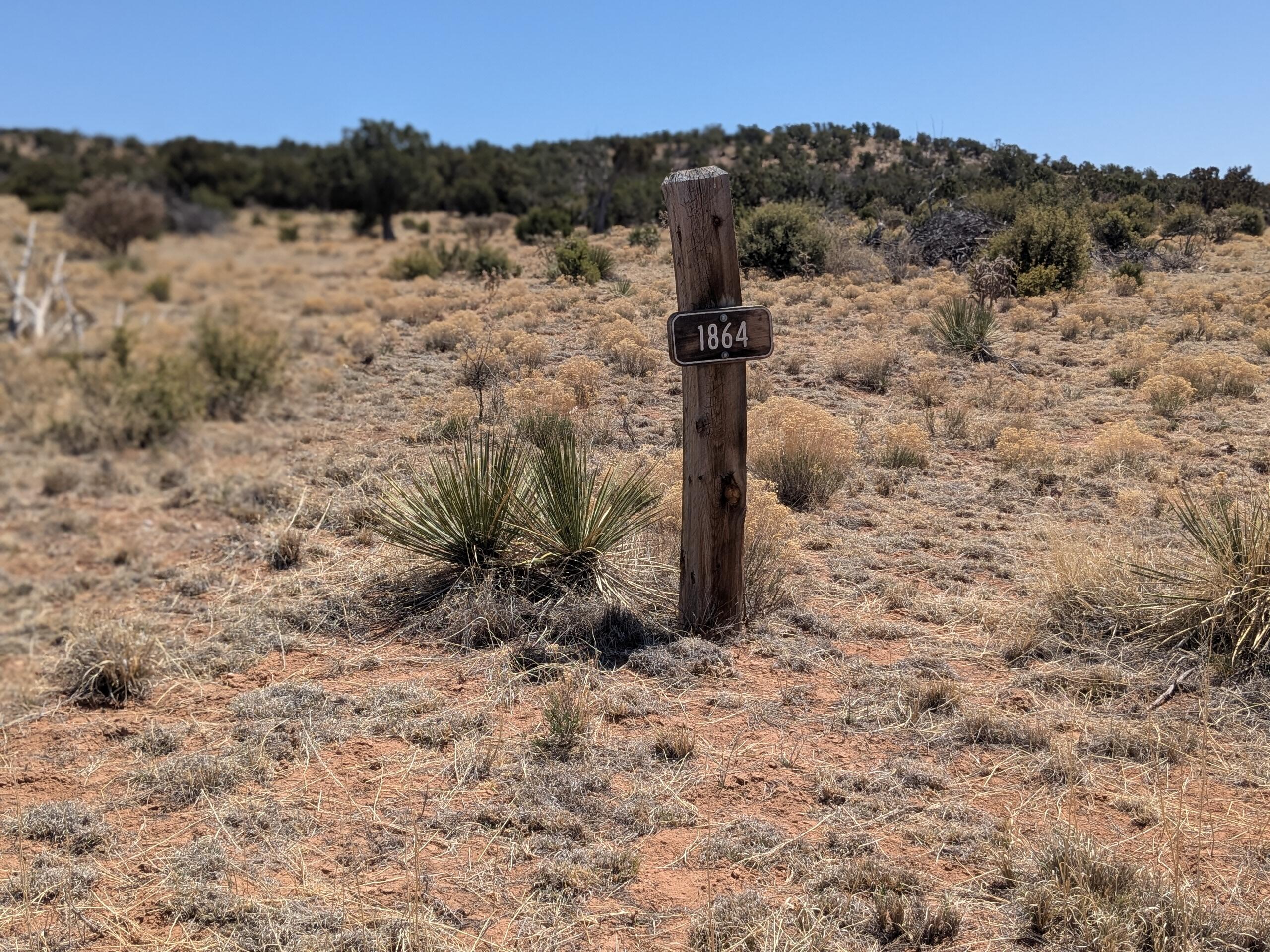 1864 Deer Canyon Trail, Mountainair, New Mexico image 5