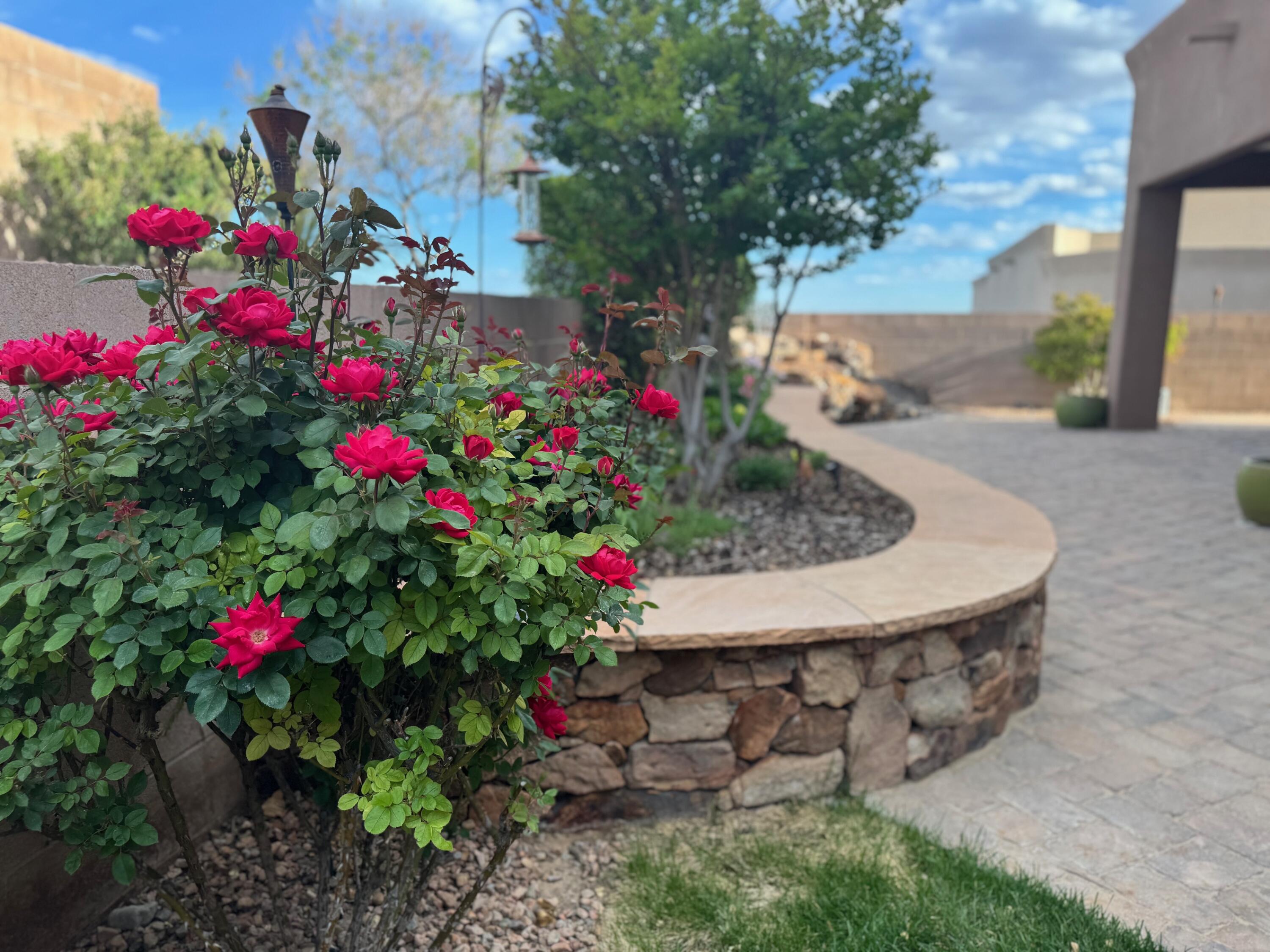 4005 Bryan Avenue, Albuquerque, New Mexico image 41