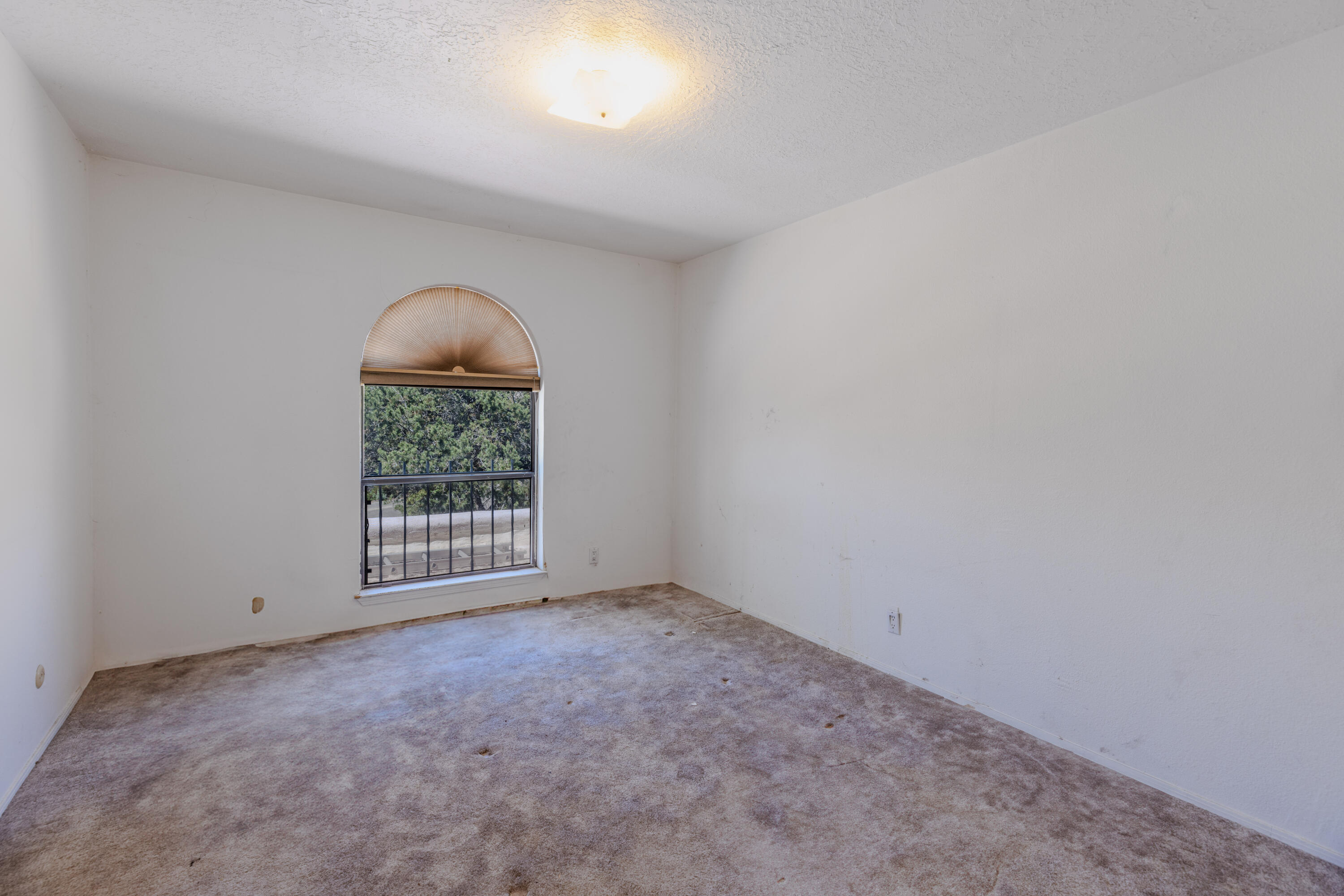 13204 Hugh Graham Road, Albuquerque, New Mexico image 28
