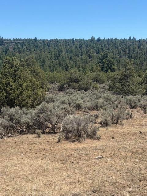 49A Heron P1 49a Private Road