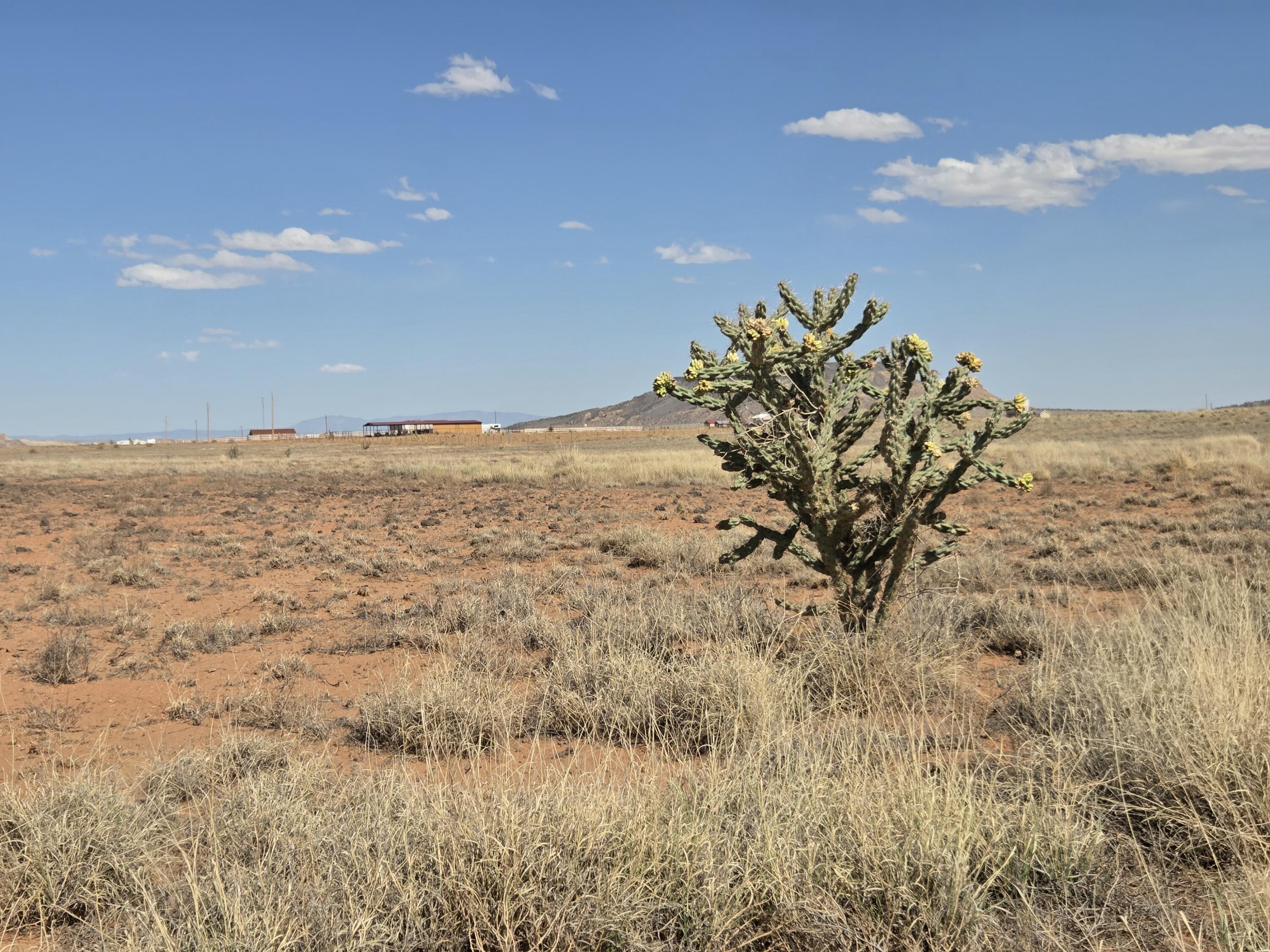 VL Lot 49 Prairie Road #3A, Laguna, New Mexico image 1