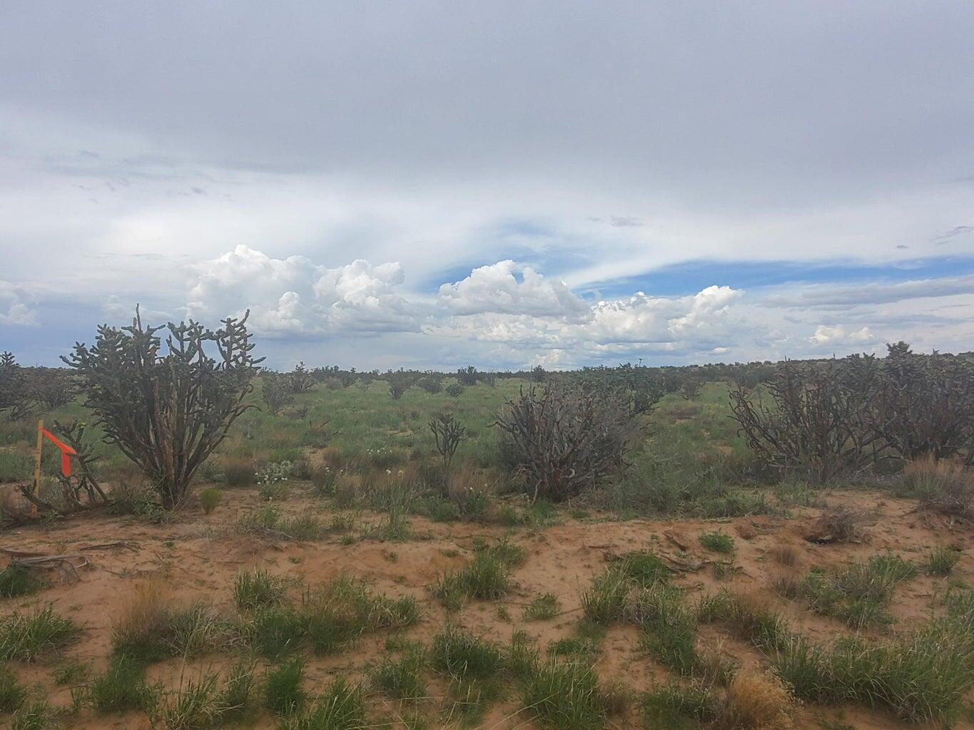 32nd Street Nw, Rio Rancho, New Mexico image 3