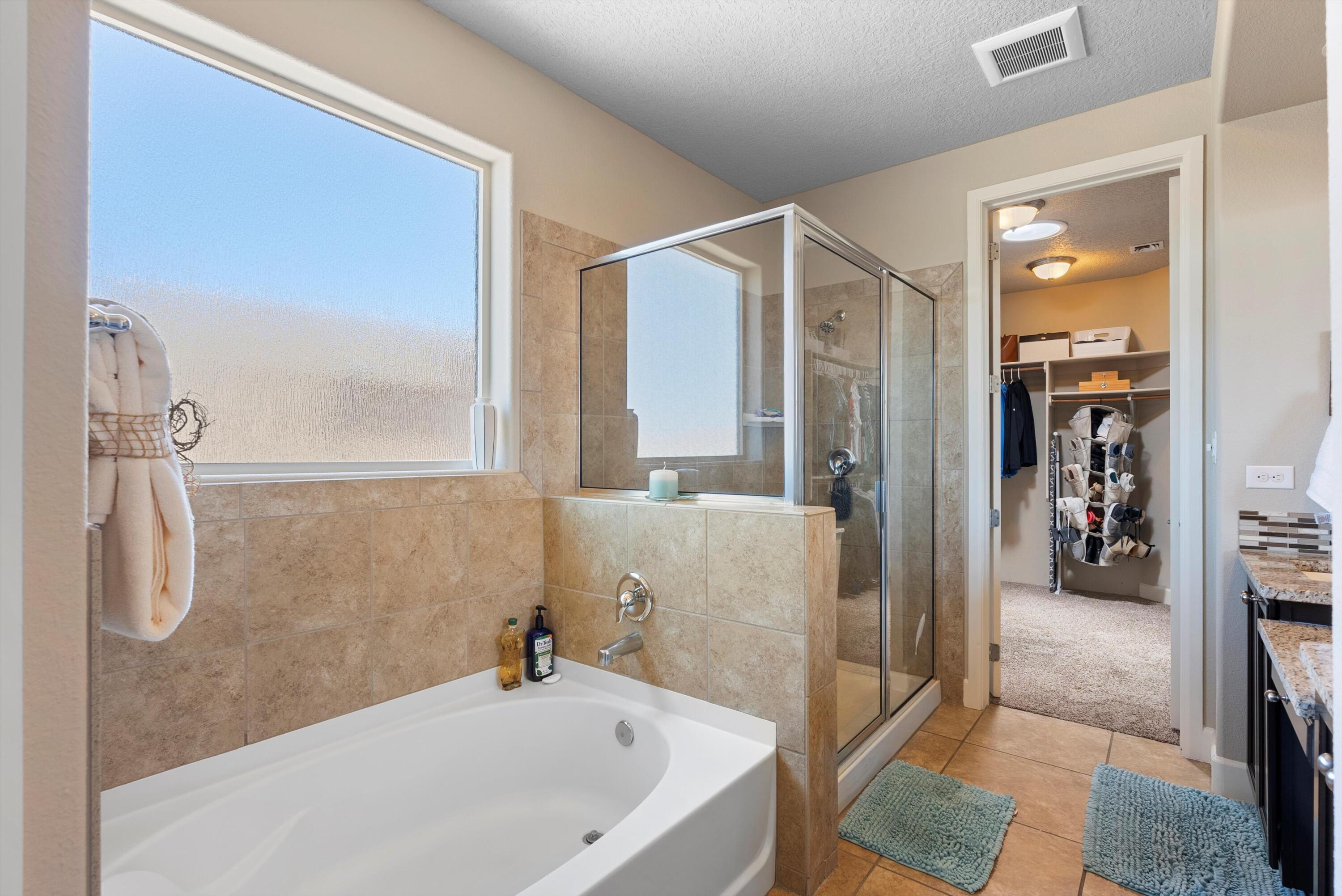 2659 Vista Manzano Loop, Rio Rancho, New Mexico image 17