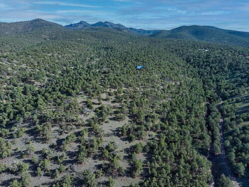 16 Horse Peak Trail, Datil, New Mexico image 27