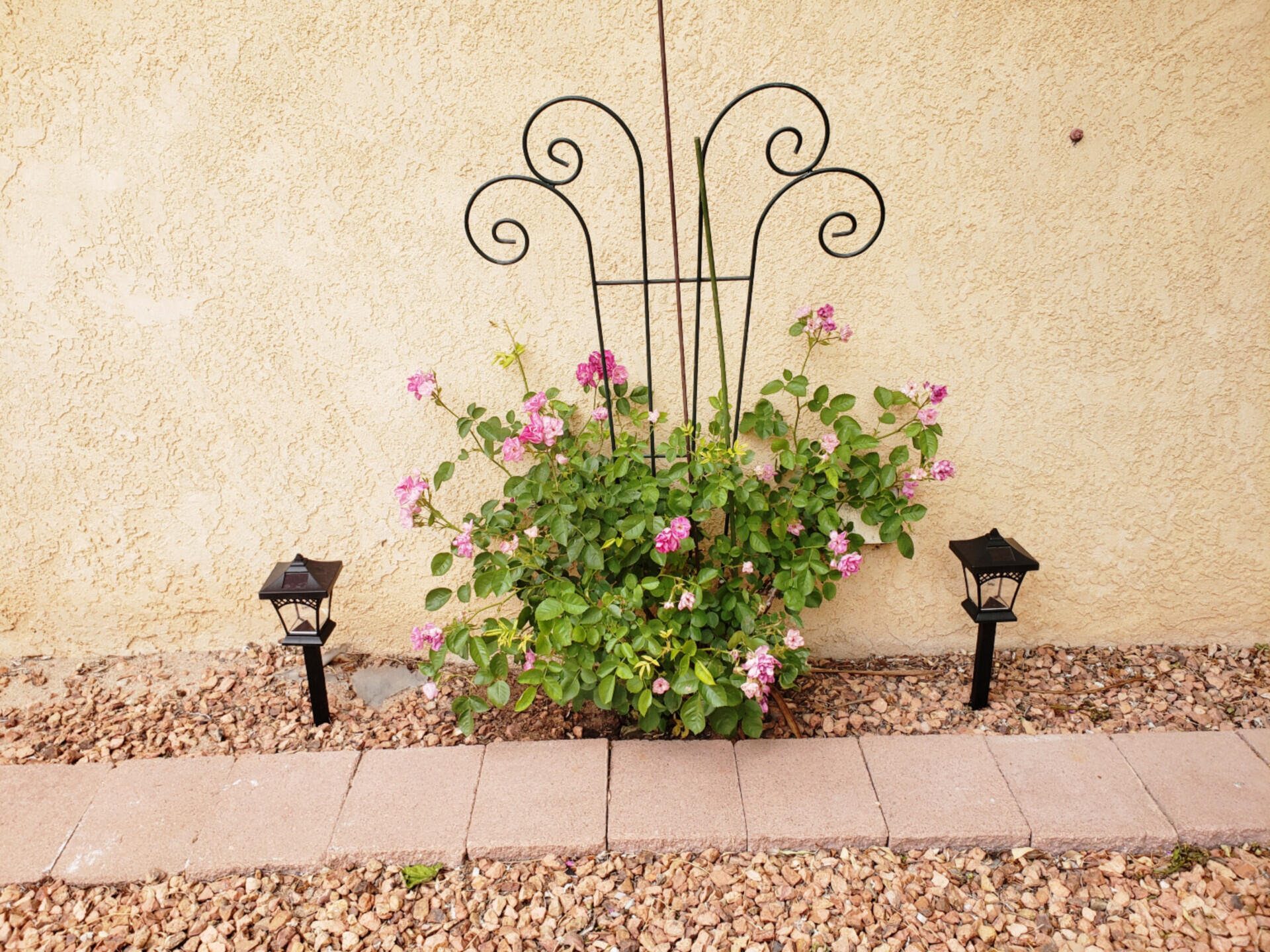 10408 Griffith Park Drive, Albuquerque, New Mexico image 35