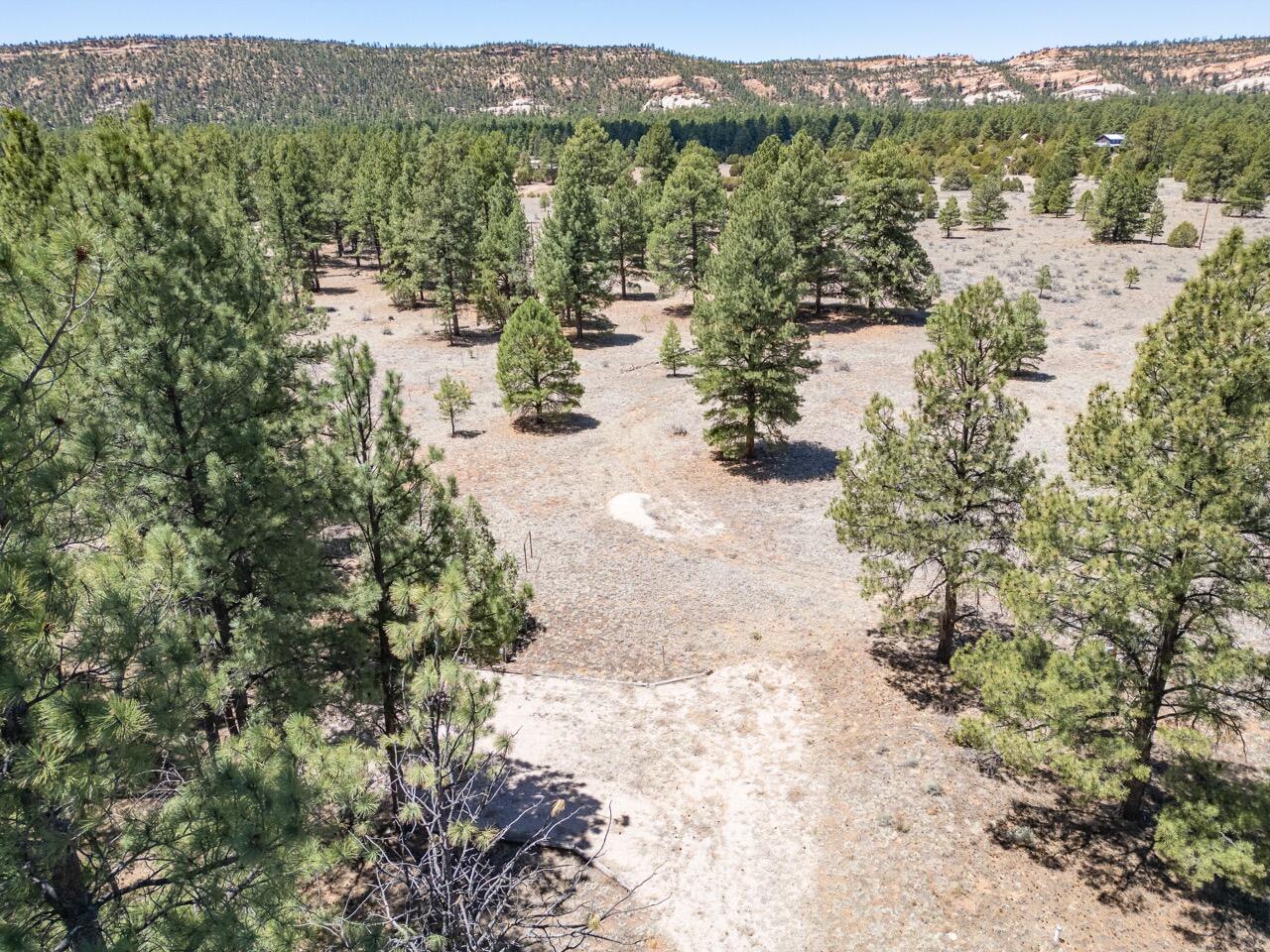 33 Sagebrush Road, Ramah, New Mexico image 26