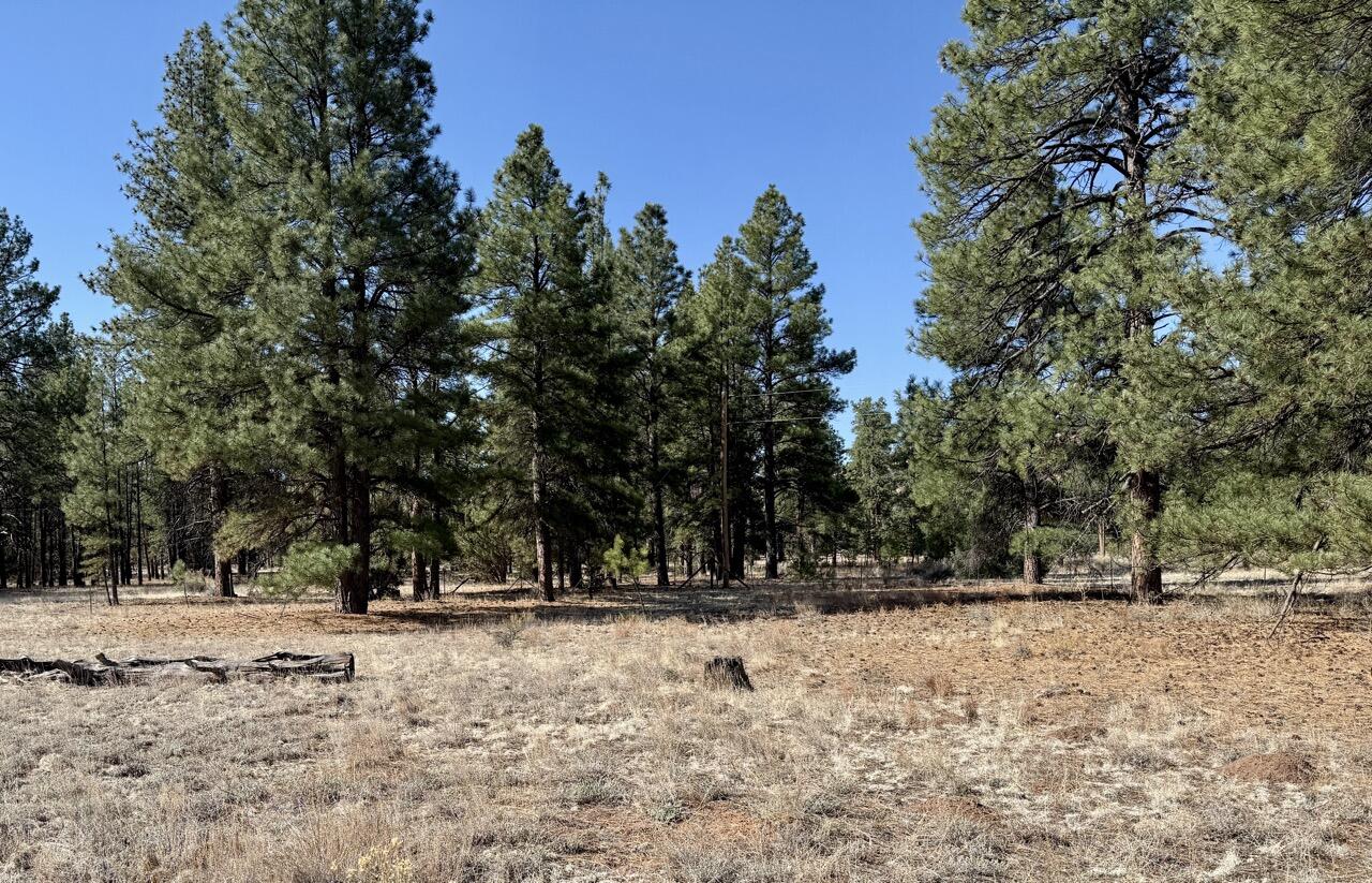 33 Sagebrush Road, Ramah, New Mexico image 12