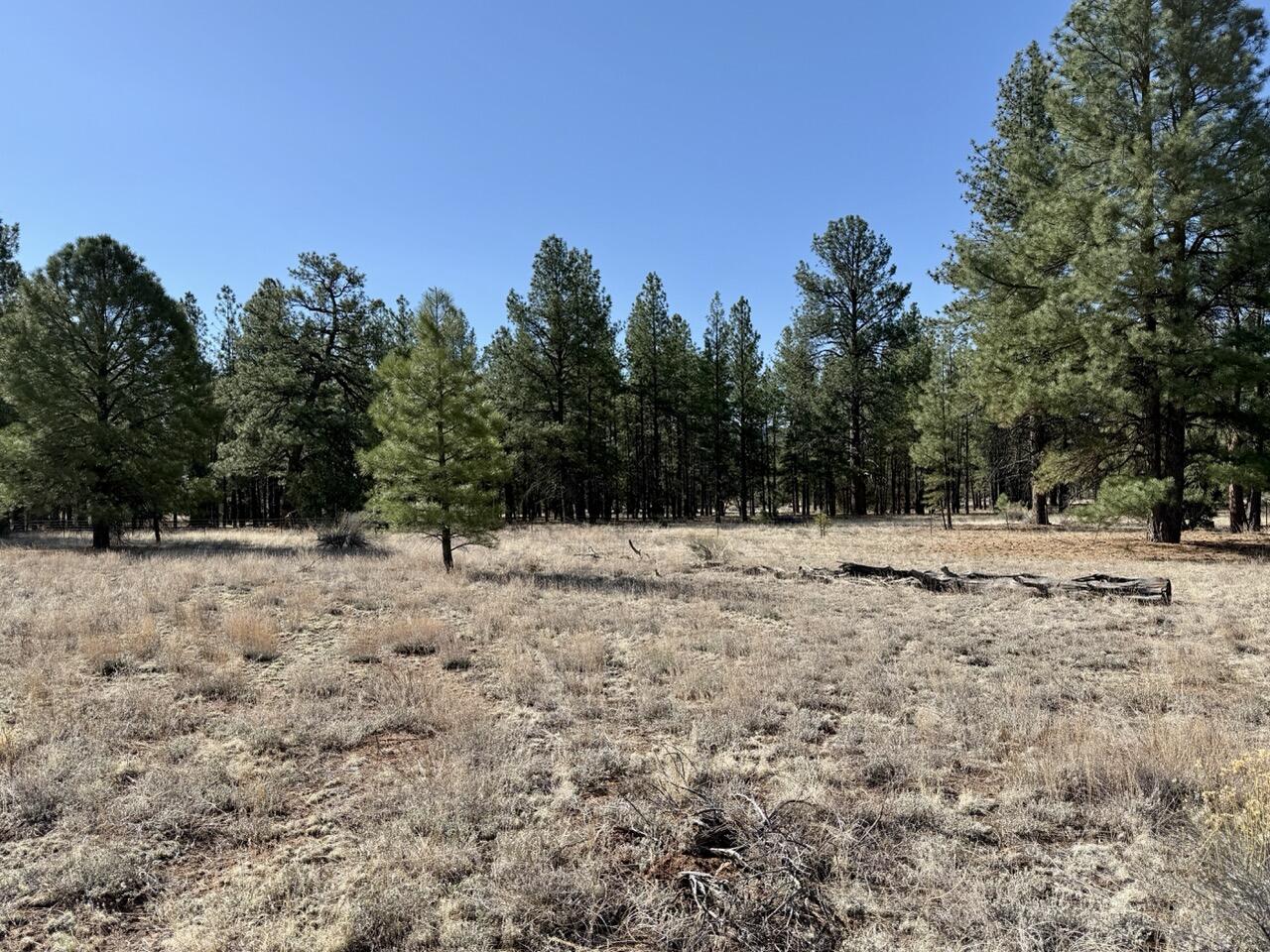 33 Sagebrush Road, Ramah, New Mexico image 13