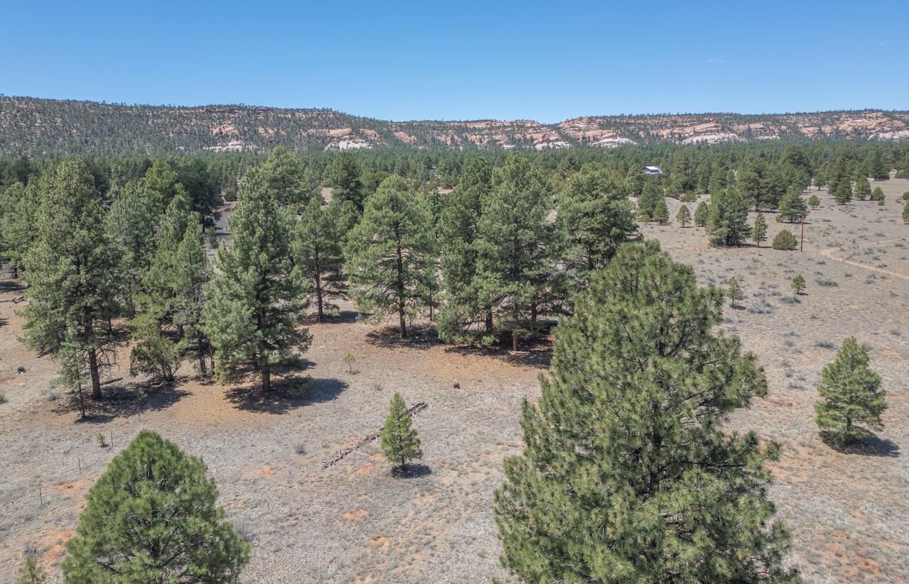 33 Sagebrush Road, Ramah, New Mexico image 27