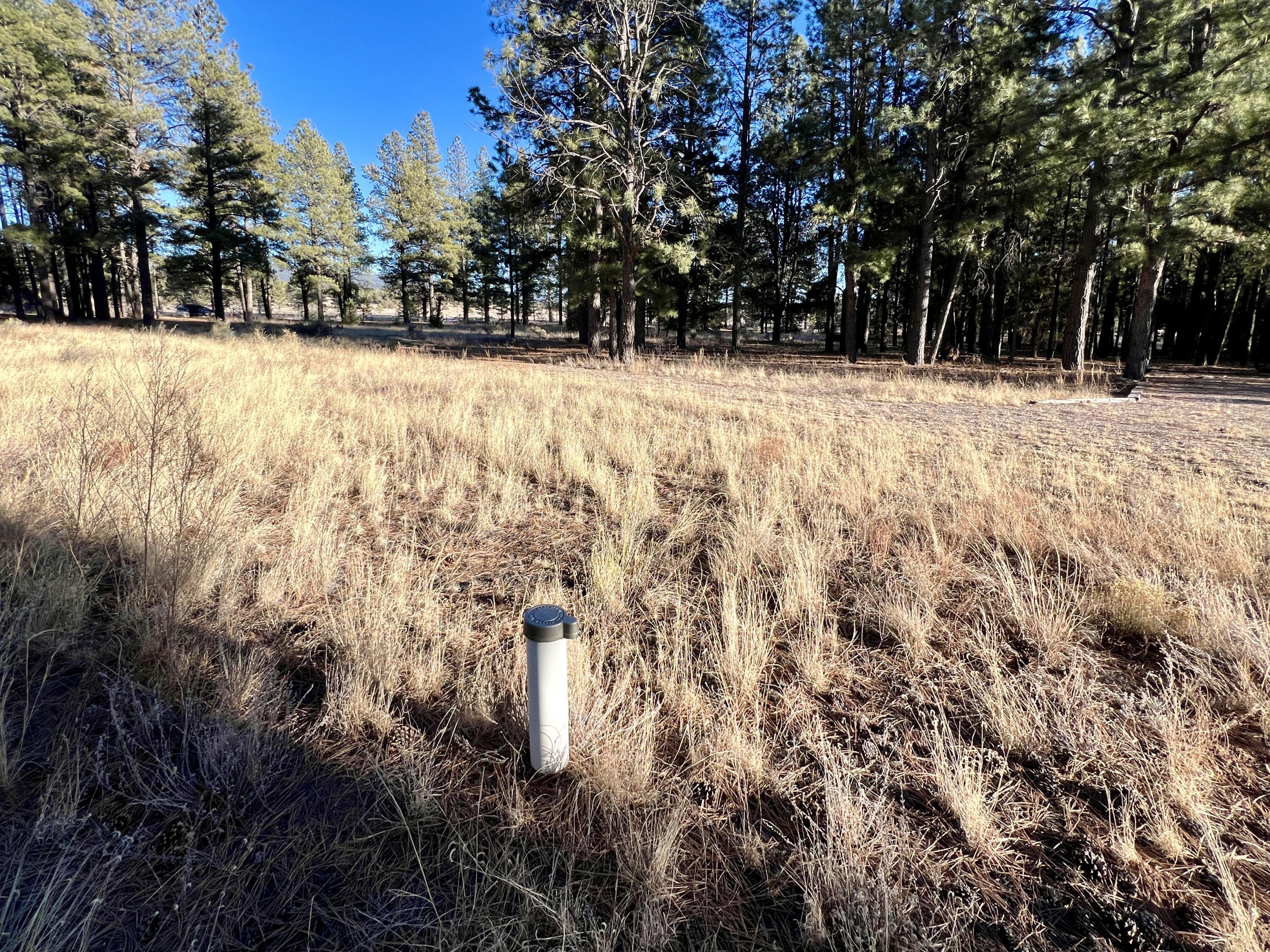 33 Sagebrush Road, Ramah, New Mexico image 10