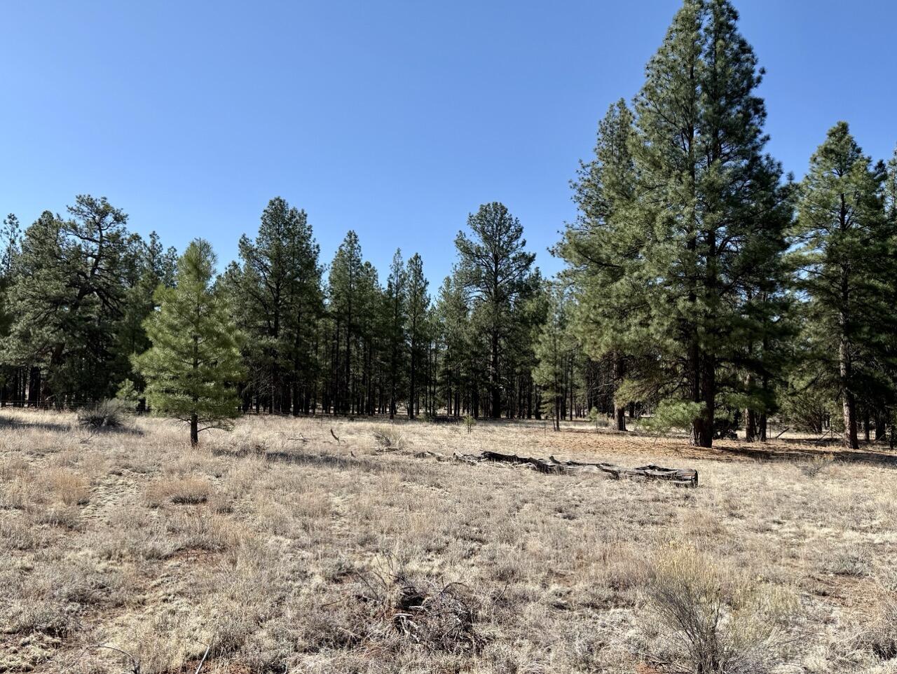 33 Sagebrush Road, Ramah, New Mexico image 16
