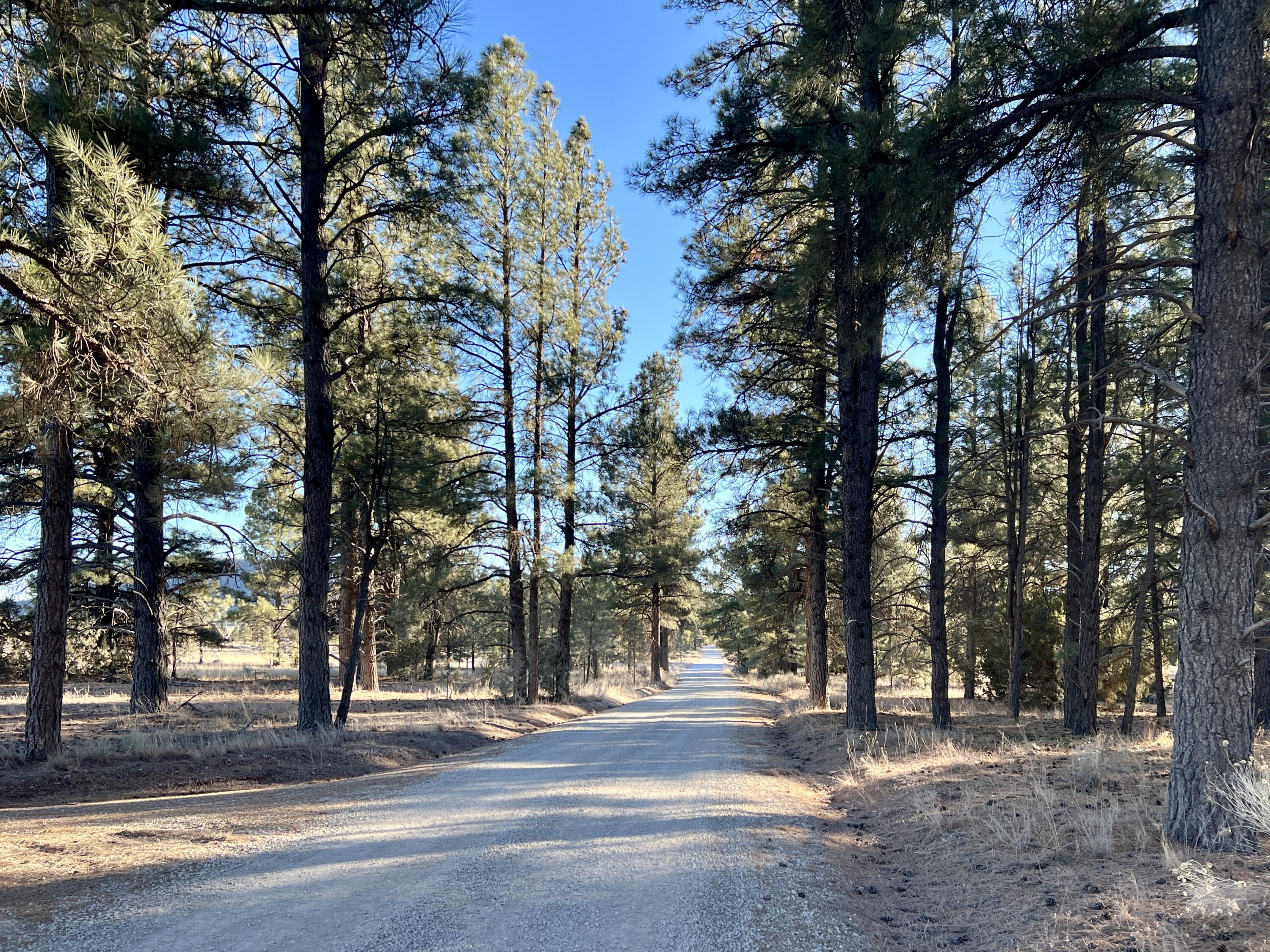 33 Sagebrush Road, Ramah, New Mexico image 4