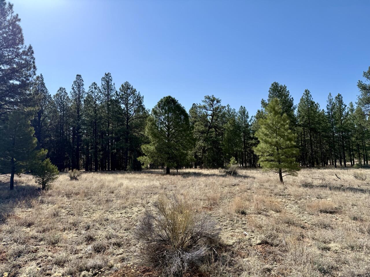 33 Sagebrush Road, Ramah, New Mexico image 11