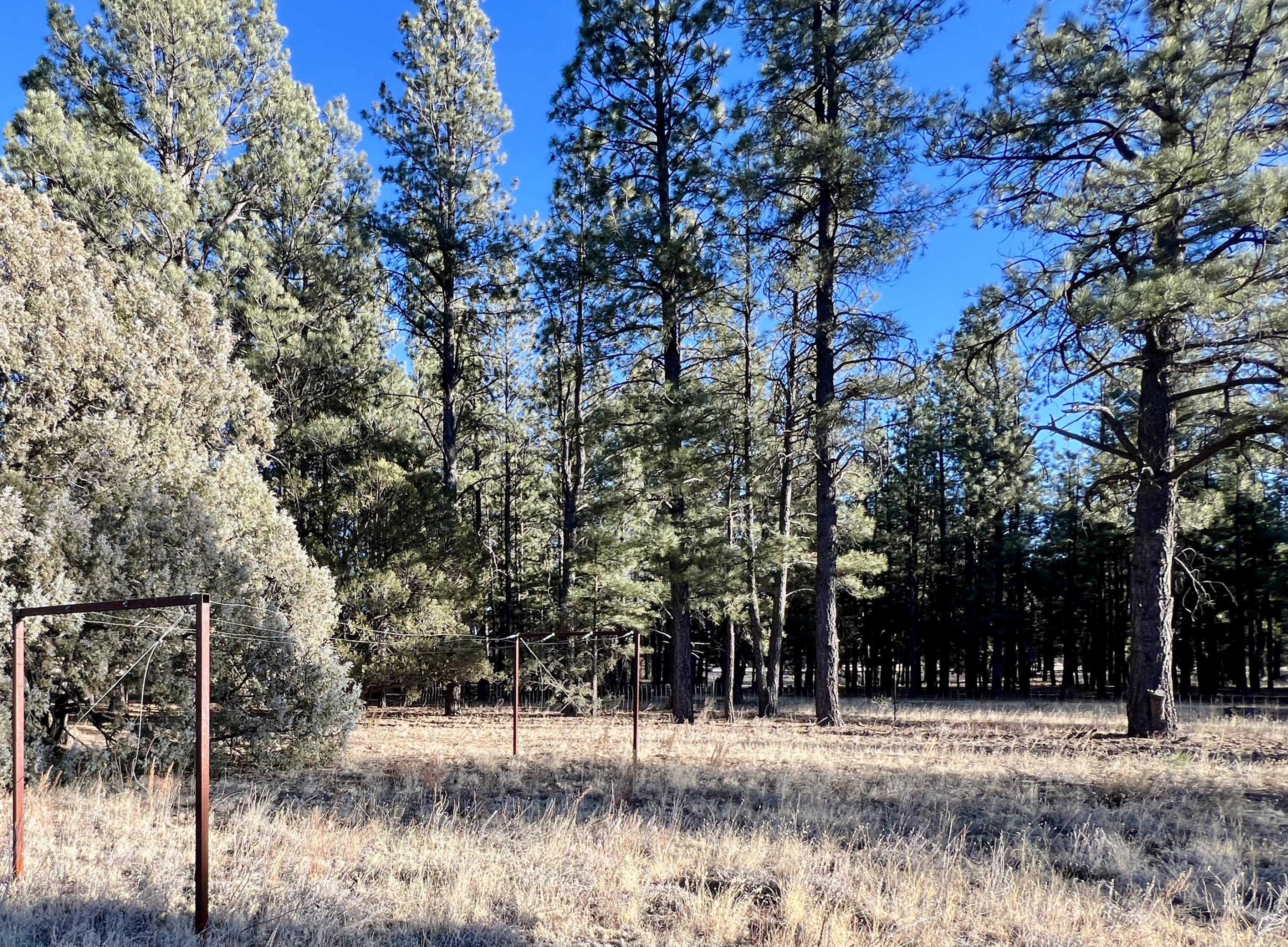 33 Sagebrush Road, Ramah, New Mexico image 5