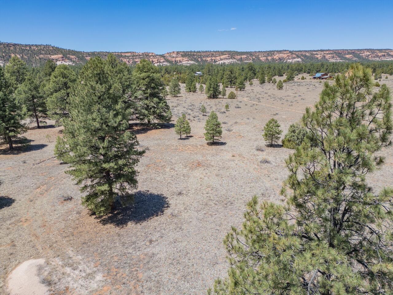 33 Sagebrush Road, Ramah, New Mexico image 25