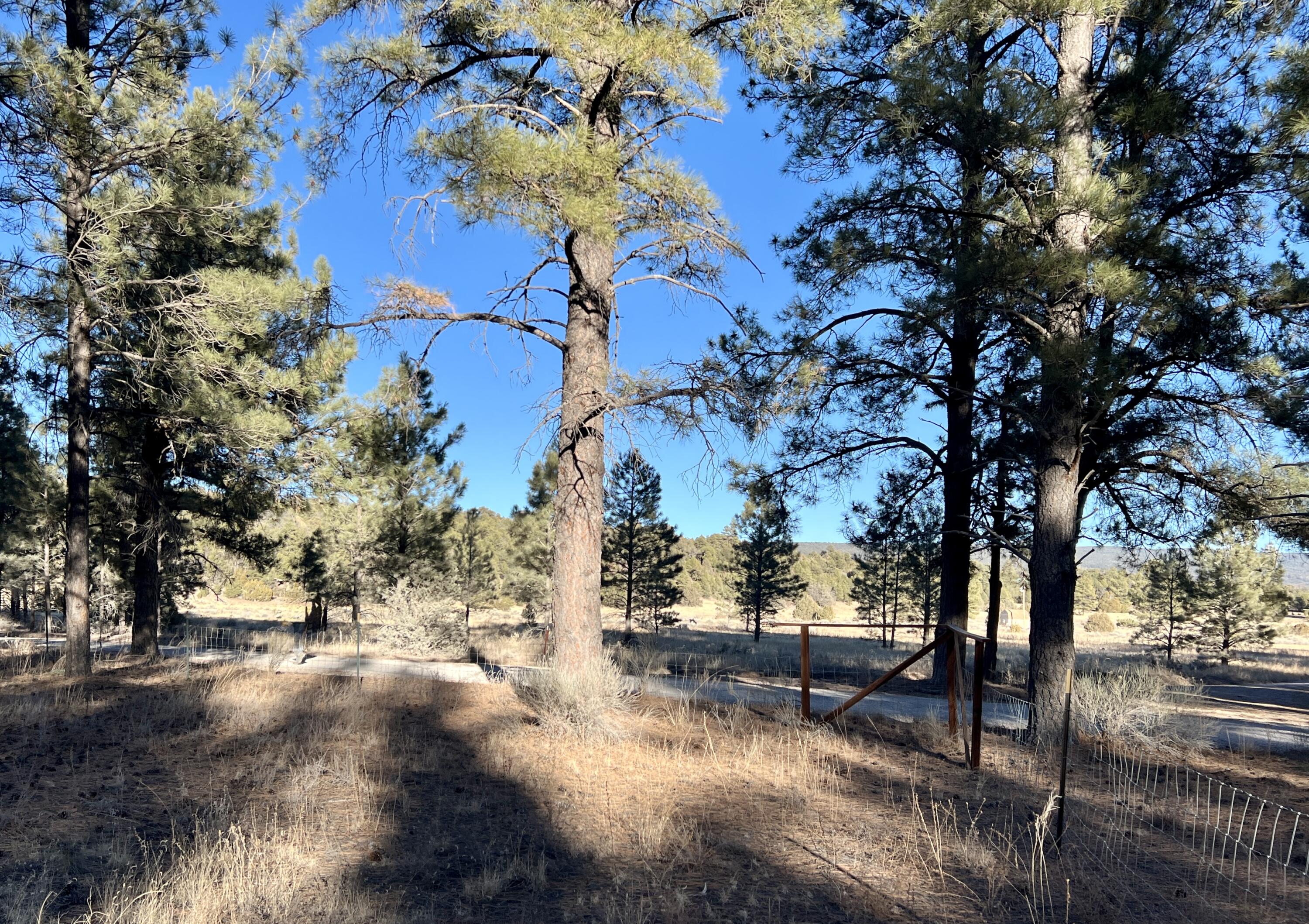 33 Sagebrush Road, Ramah, New Mexico image 17