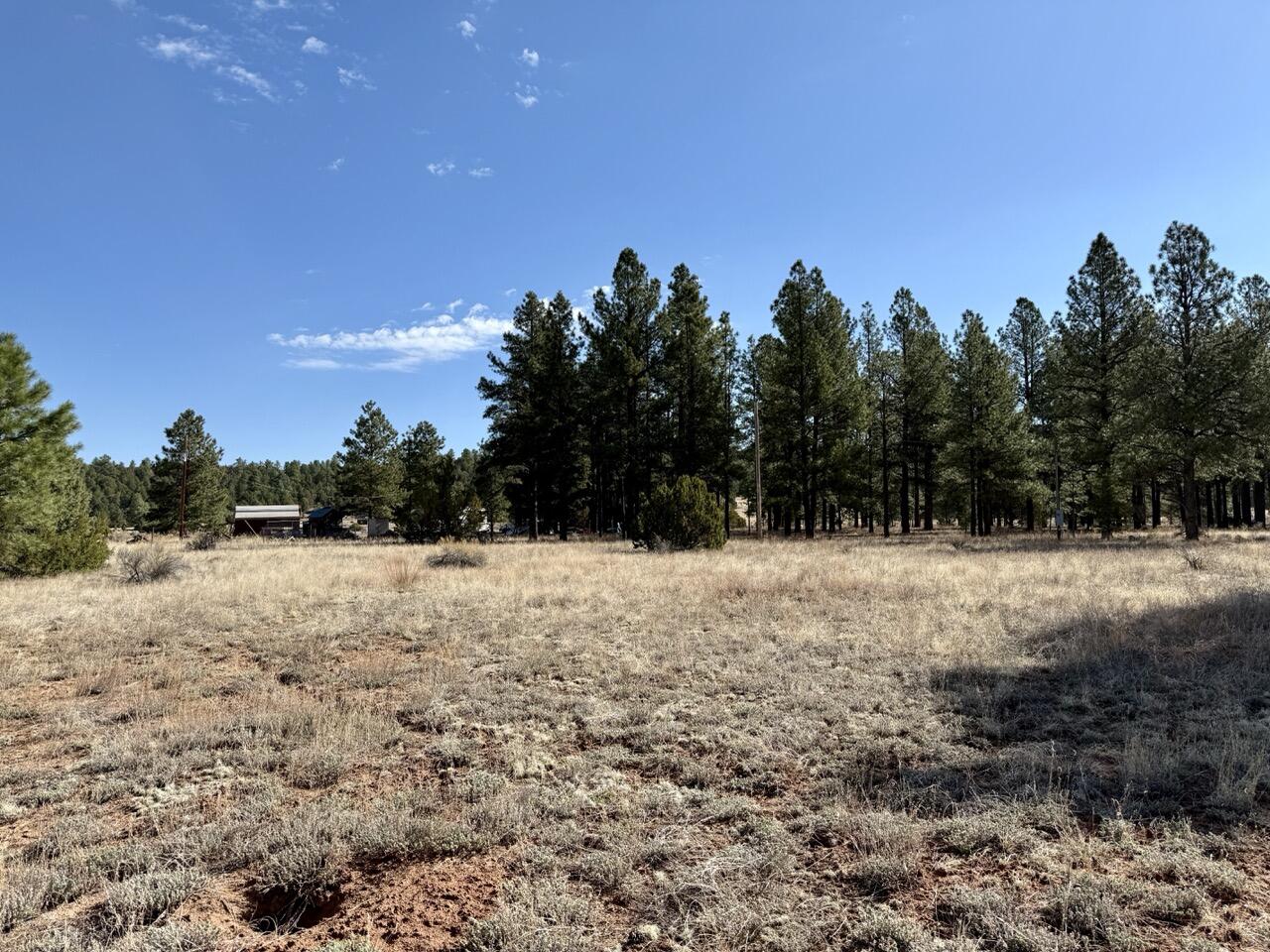 33 Sagebrush Road, Ramah, New Mexico image 14