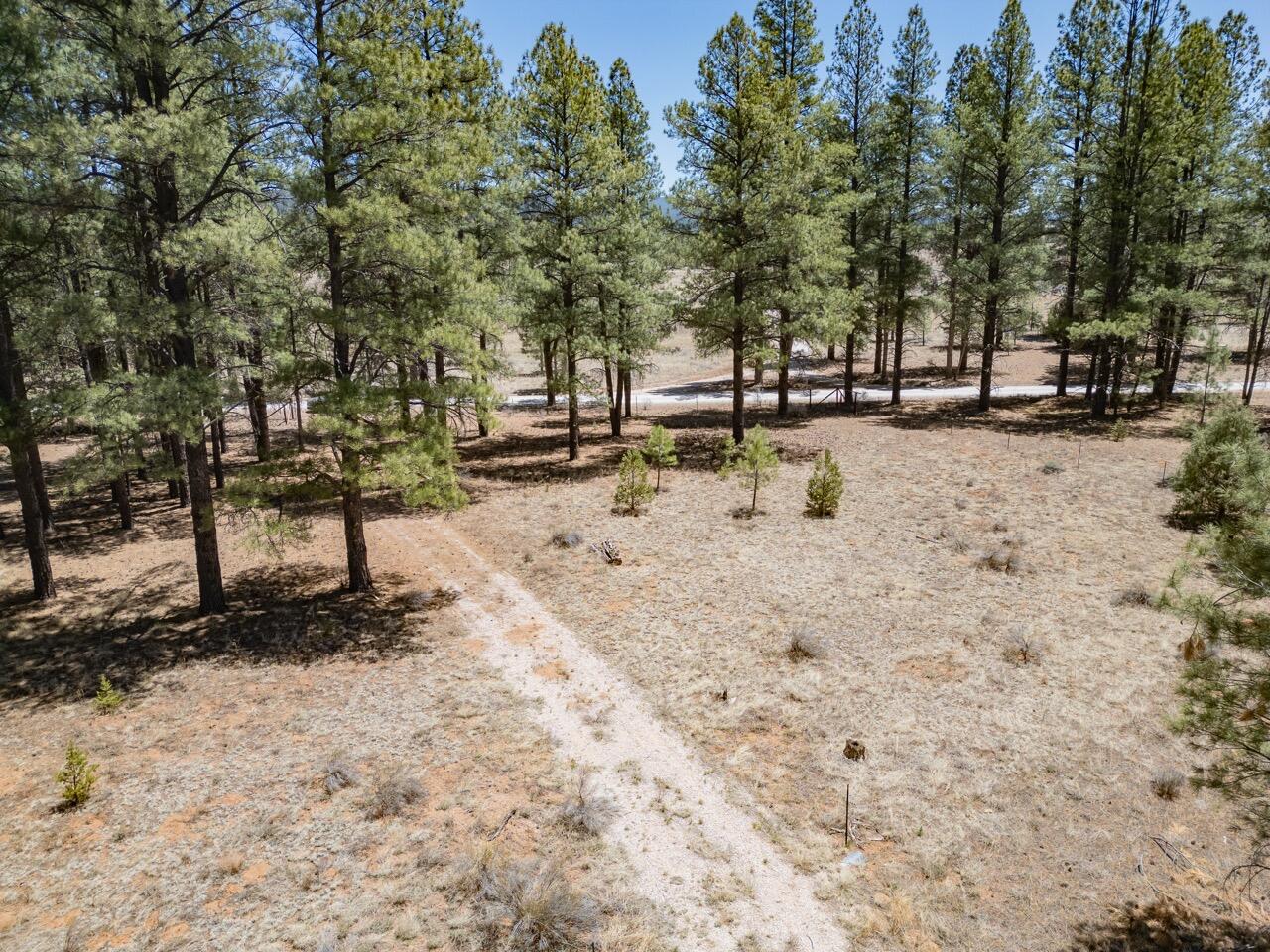 33 Sagebrush Road, Ramah, New Mexico image 2
