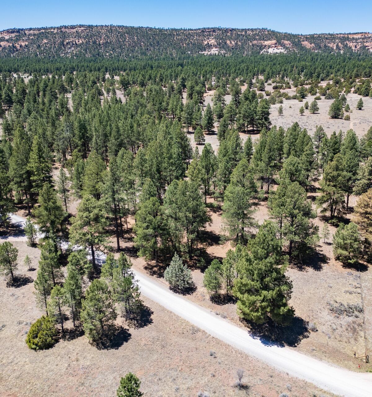 33 Sagebrush Road, Ramah, New Mexico image 18