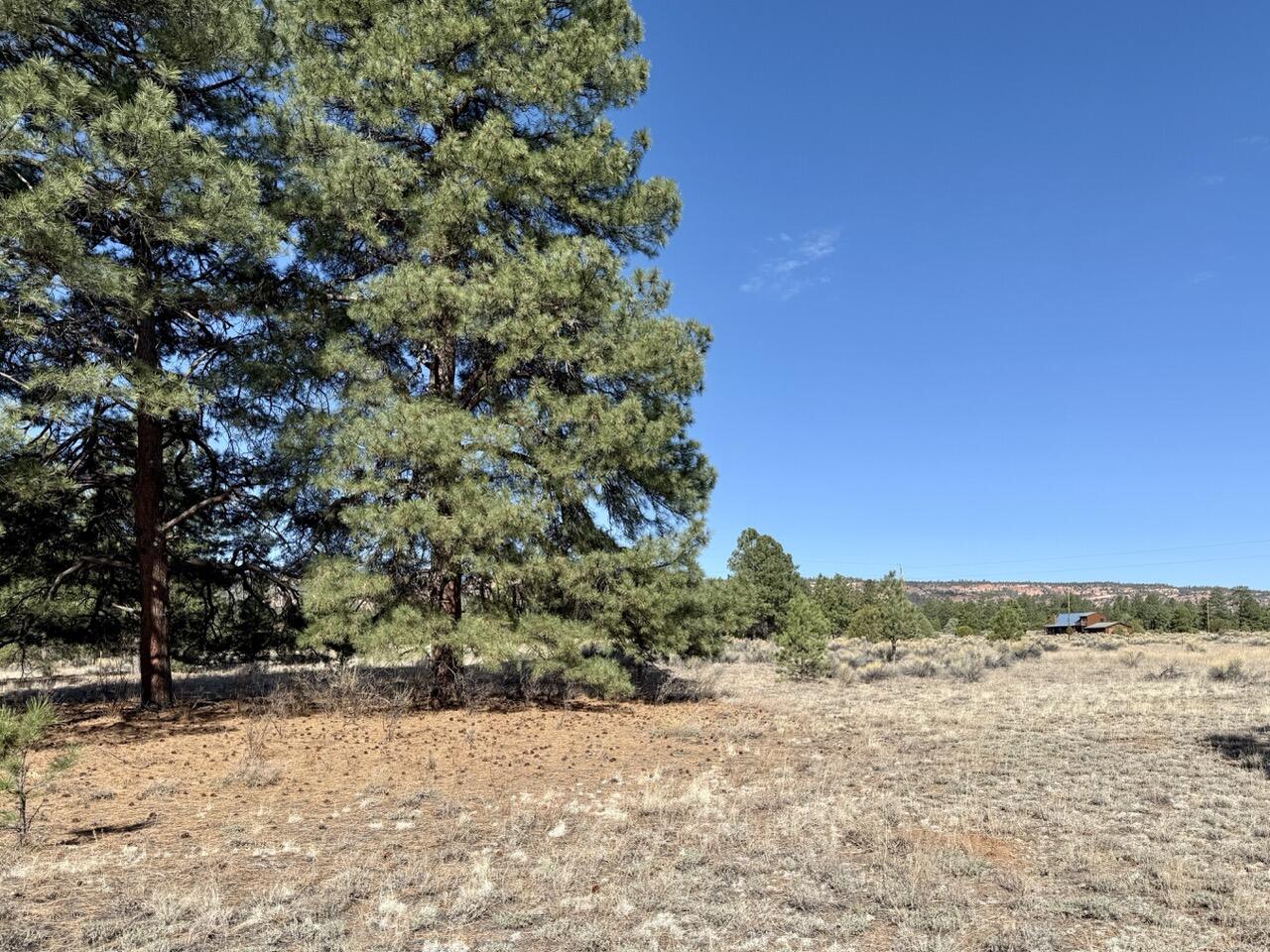 33 Sagebrush Road, Ramah, New Mexico image 15