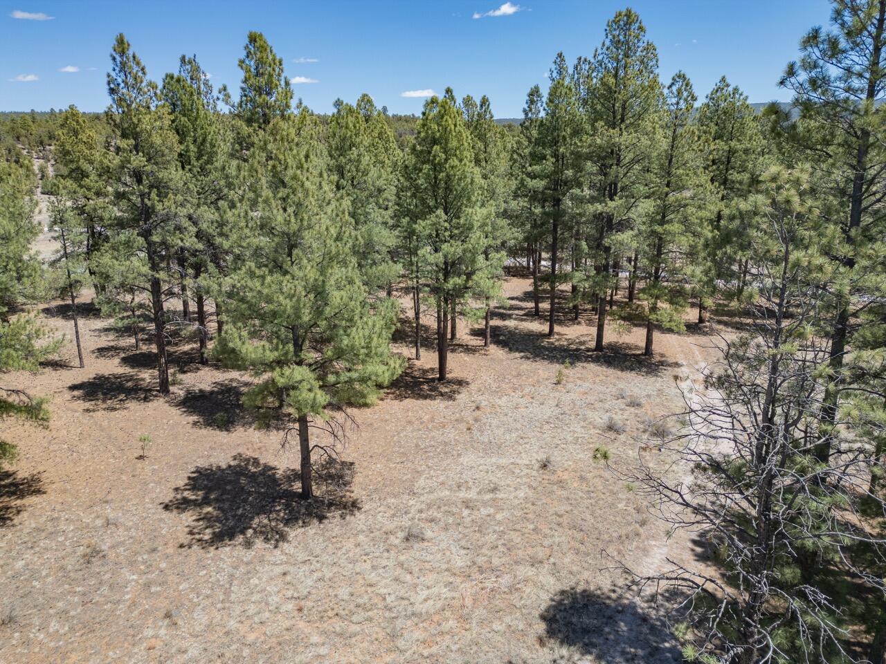 33 Sagebrush Road, Ramah, New Mexico image 7