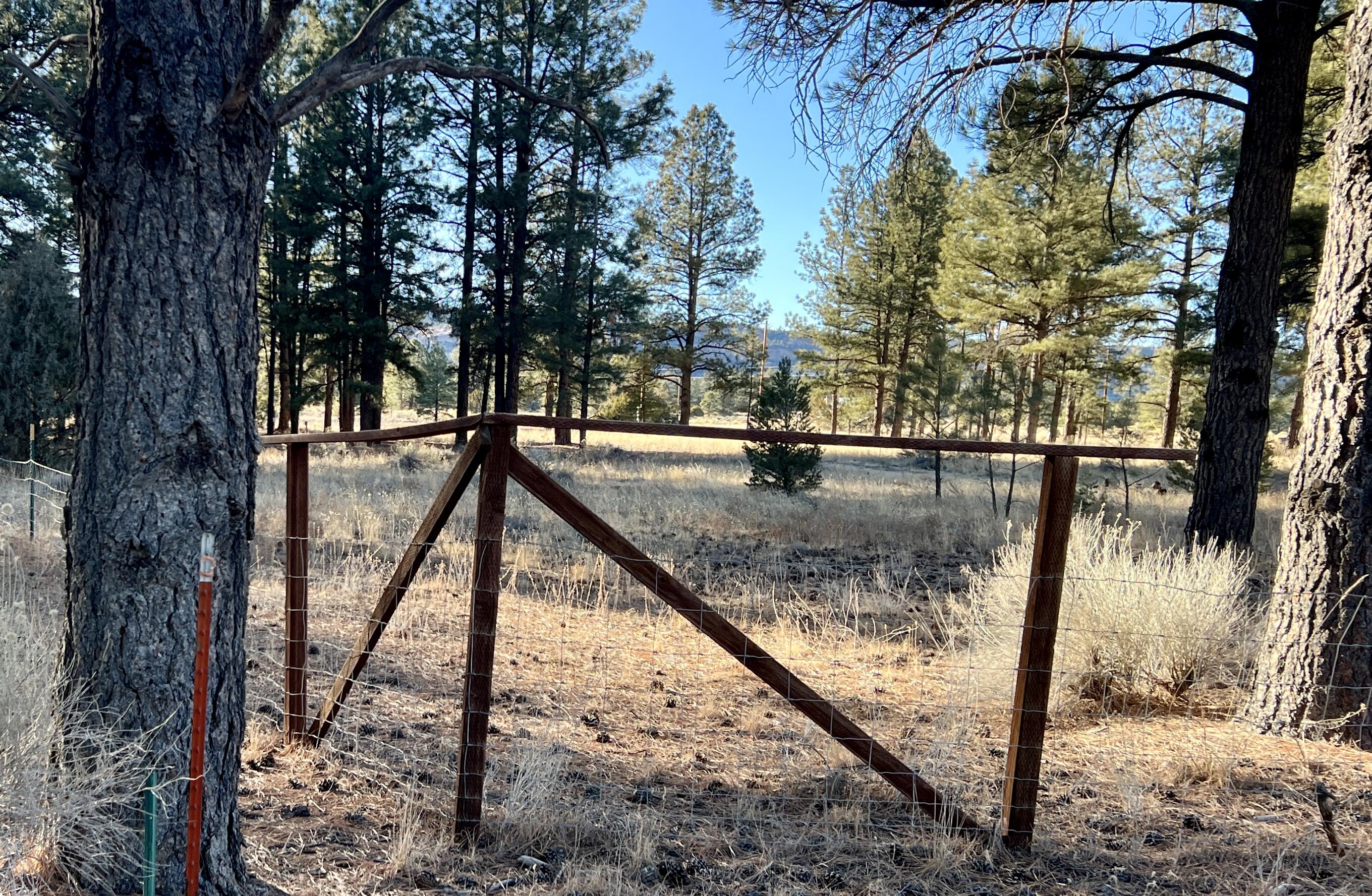 33 Sagebrush Road, Ramah, New Mexico image 6
