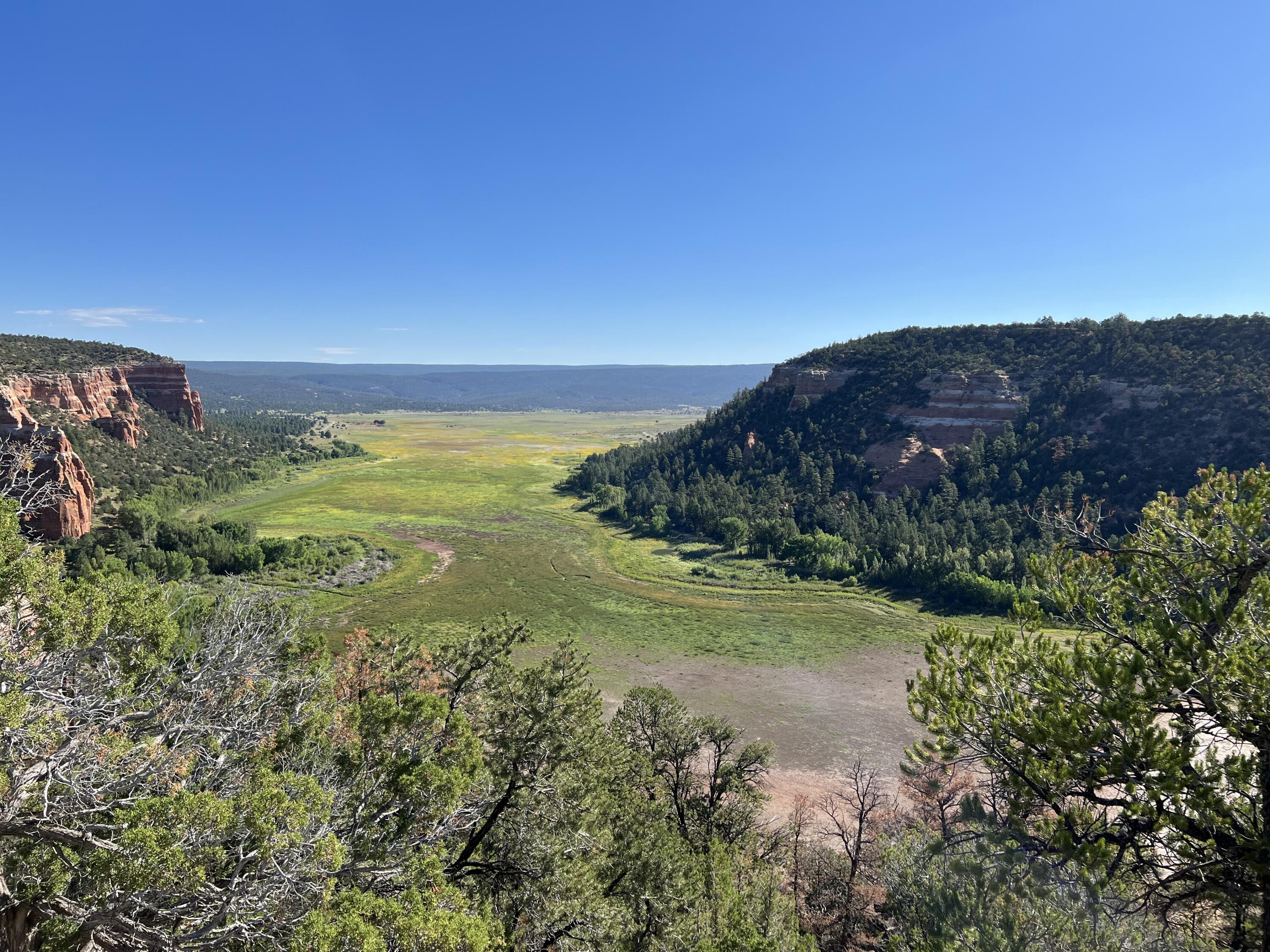 33 Sagebrush Road, Ramah, New Mexico image 42