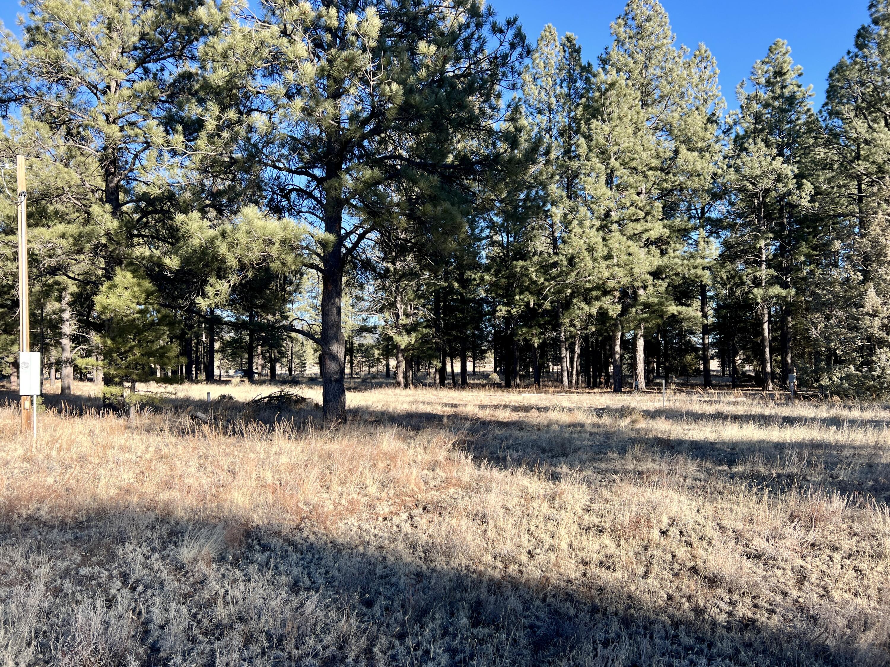 33 Sagebrush Road, Ramah, New Mexico image 28