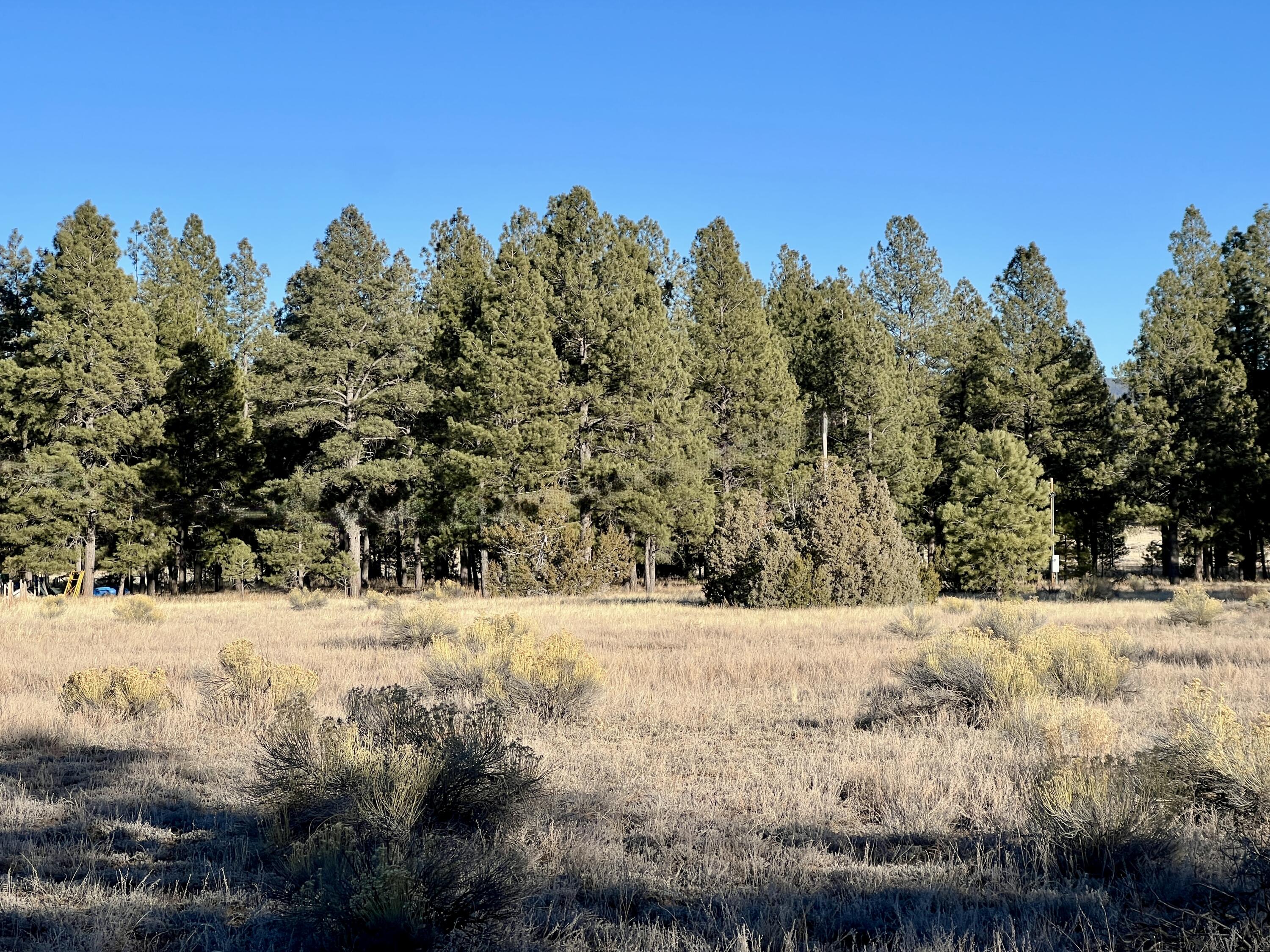 33 Sagebrush Road, Ramah, New Mexico image 20