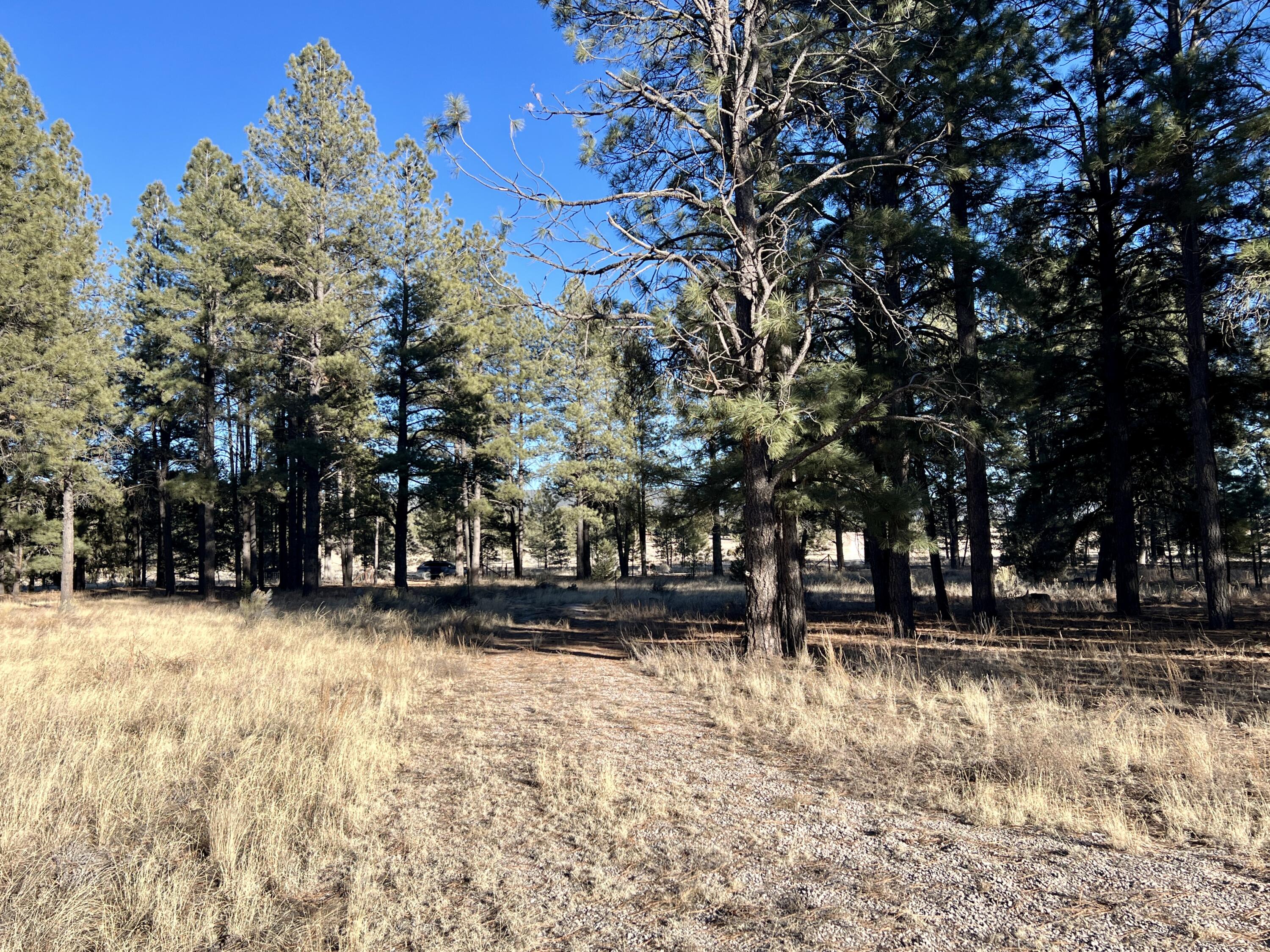 33 Sagebrush Road, Ramah, New Mexico image 19